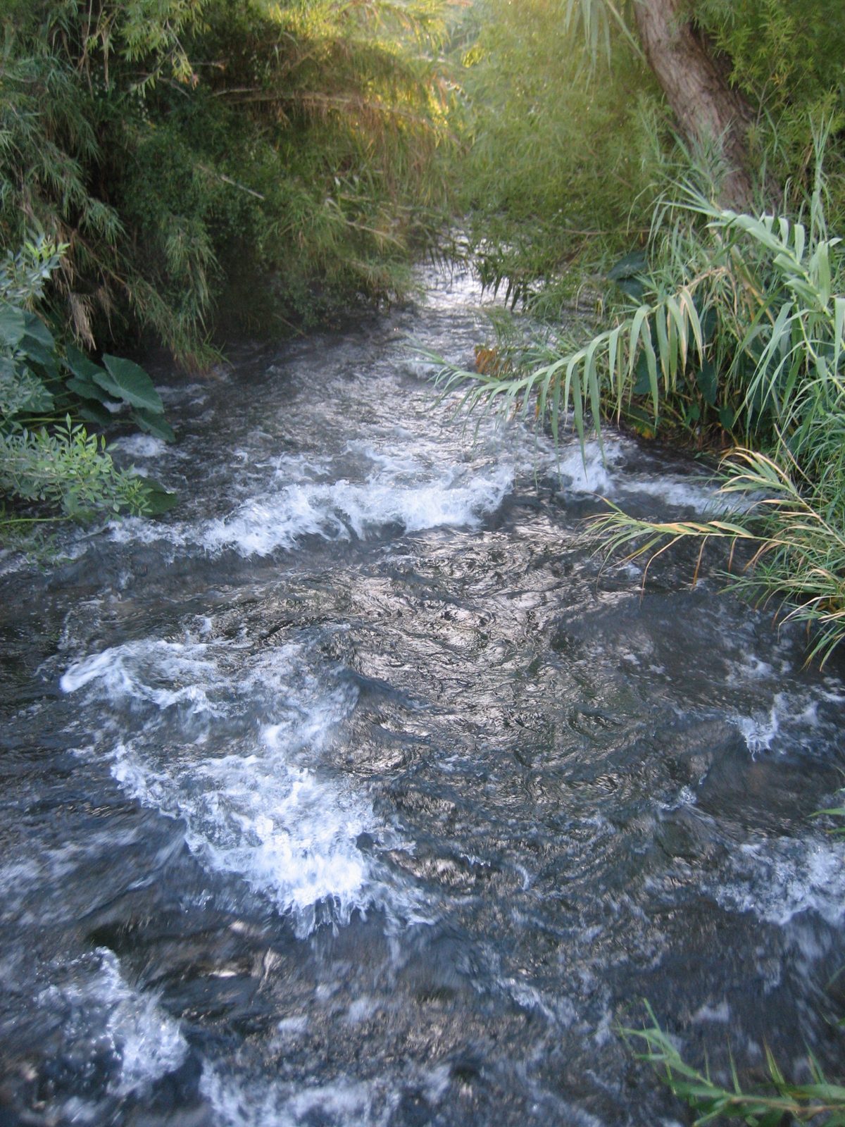 A nice rumbling river that passed under the course.