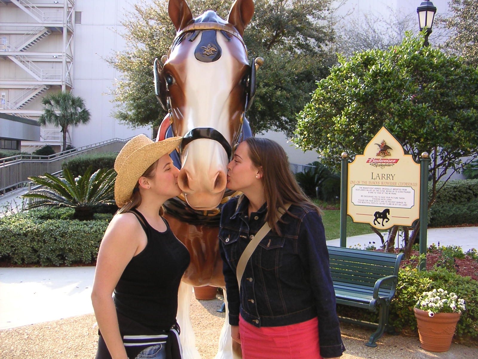Anna and I had this thing that started from one picture of us kissing a friend on the cheeks, so...