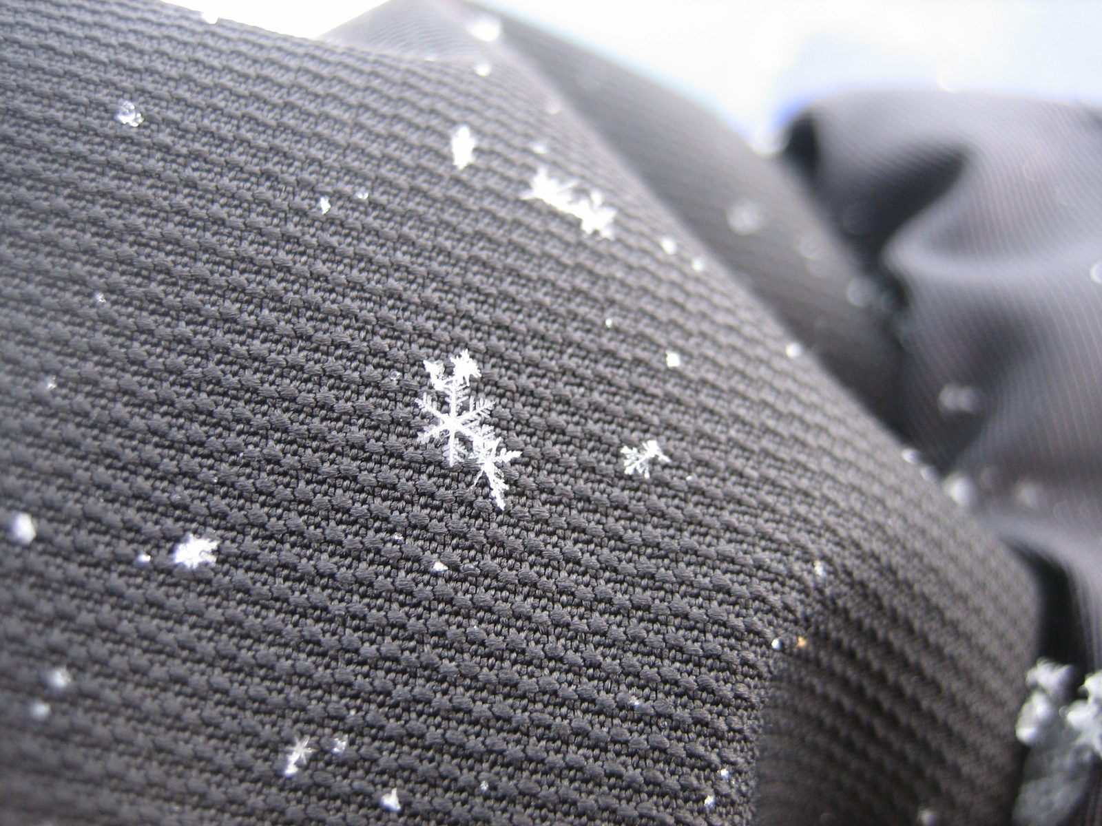 The snowflakes on the 30th were beautiful and perfect.  Also a neat close-up of my (at the time)...