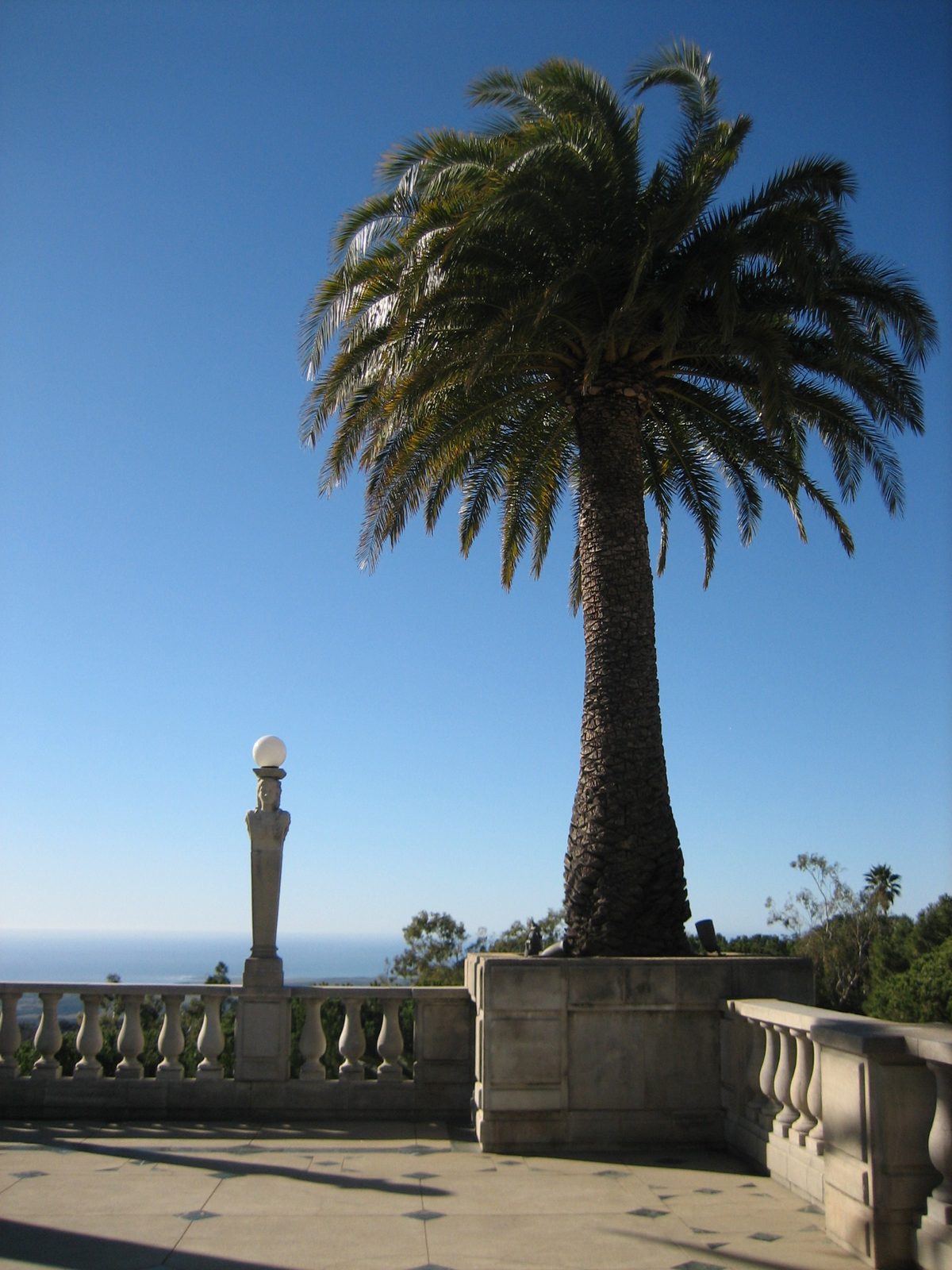 Palm tree on the balcony of Hearst Castle.