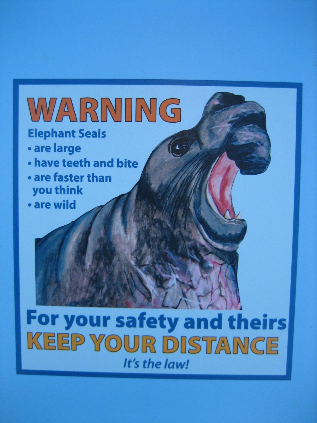 Rawr.