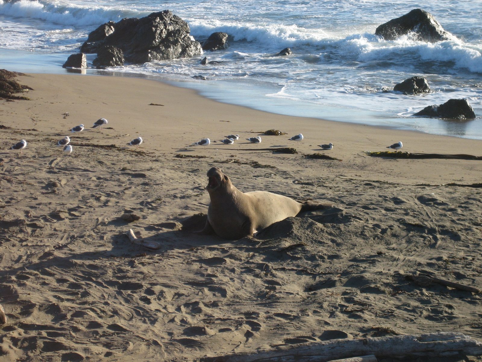 This guy kept making noise.
