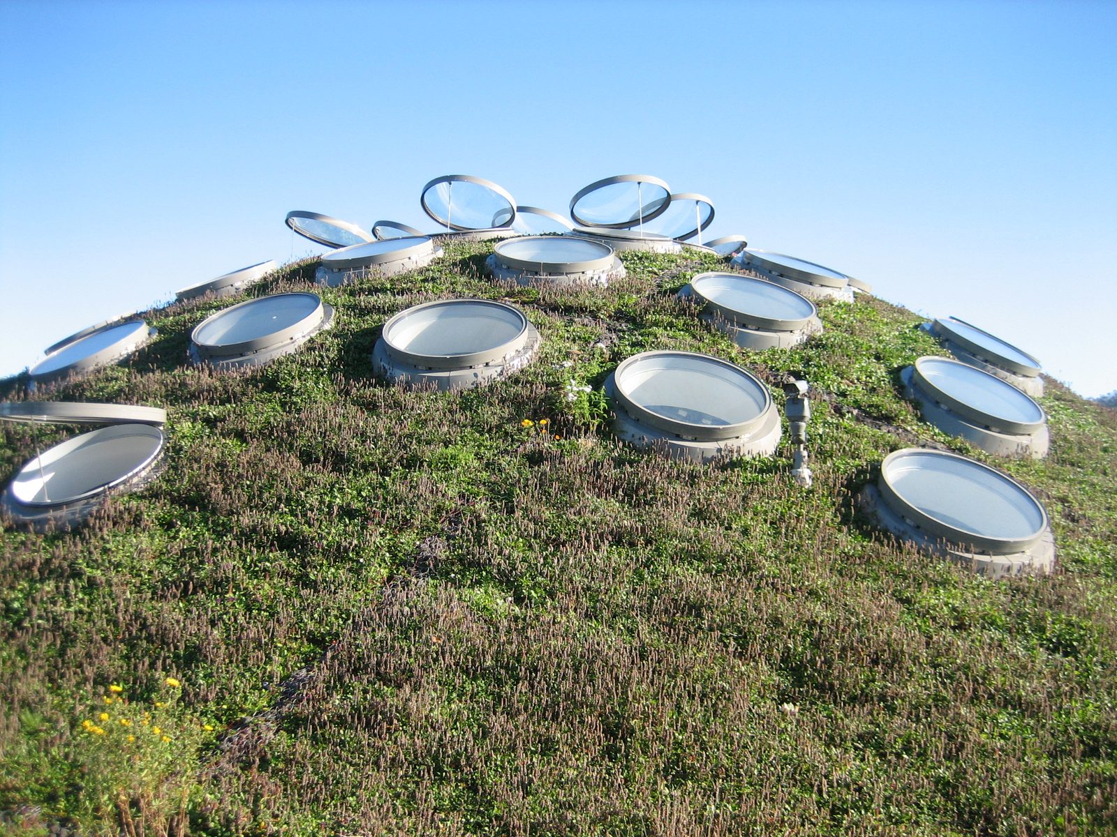 Living roof of the California Academy of the Sciences.