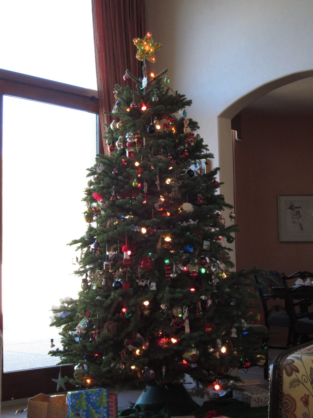 Merry Christmas, Tucson-style!