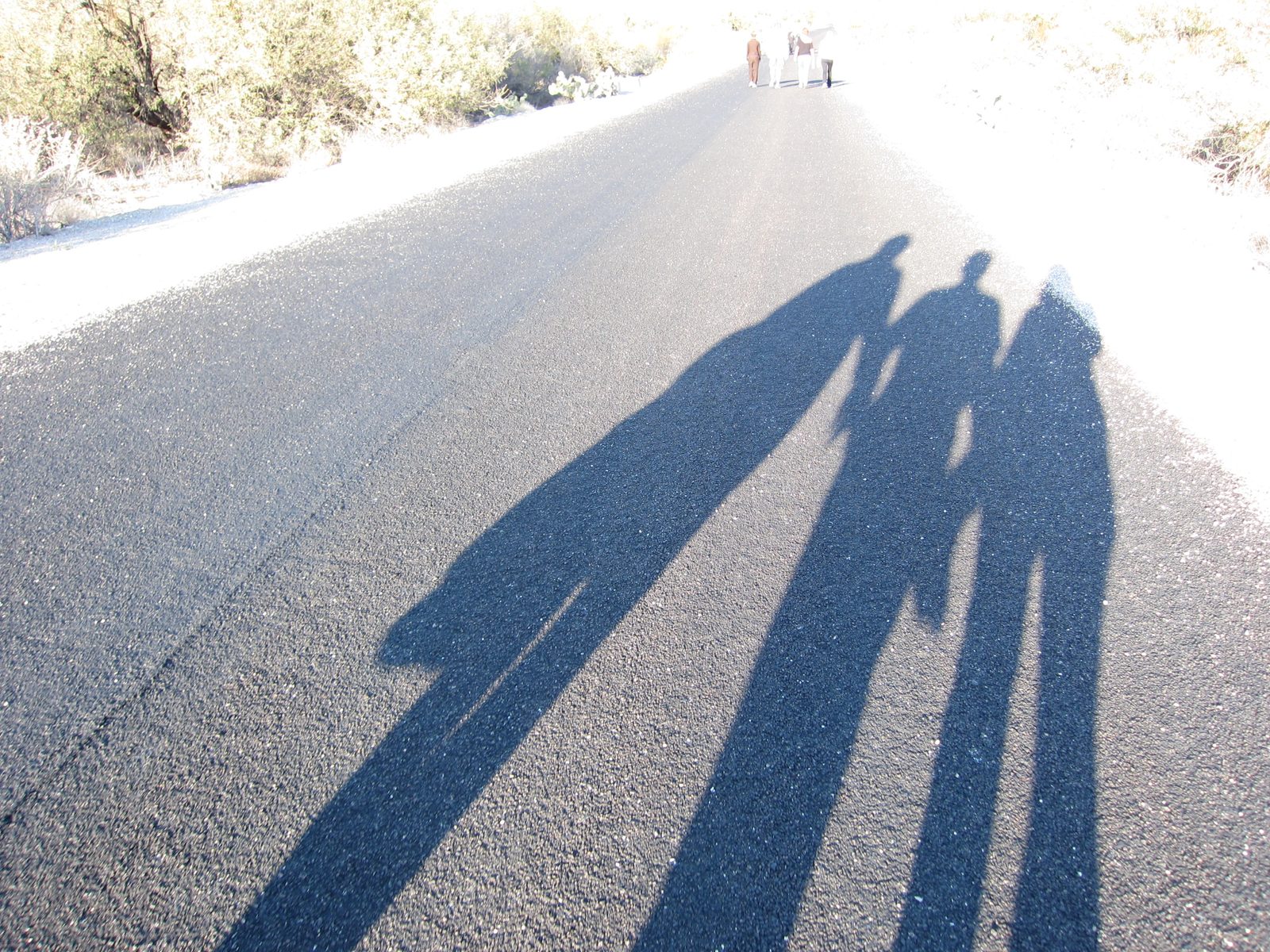 Mom, Jay, and Catherine head up the Sabino Canyon trail near the end of the day.