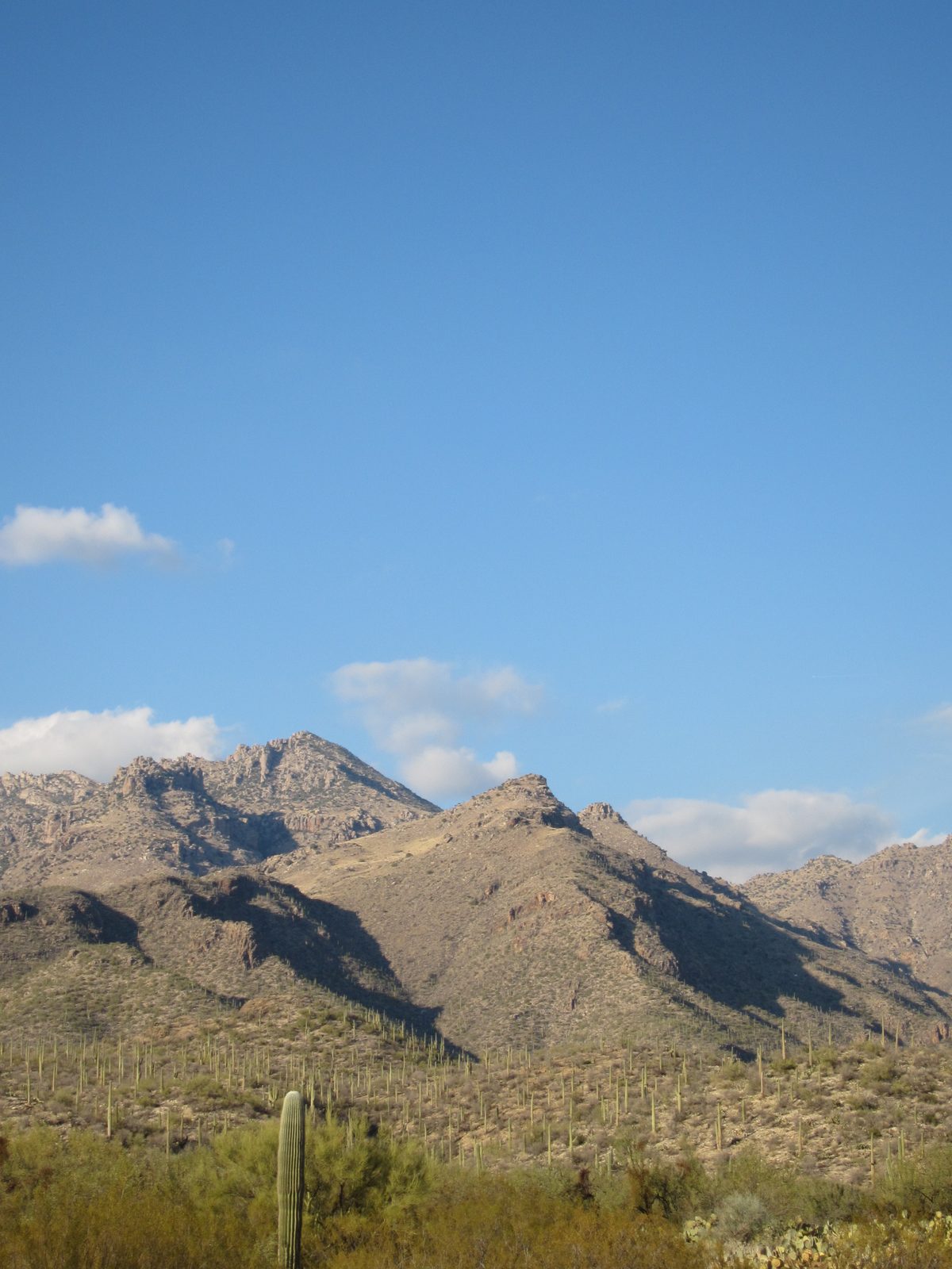 Mountains near Sabino Canyon.
