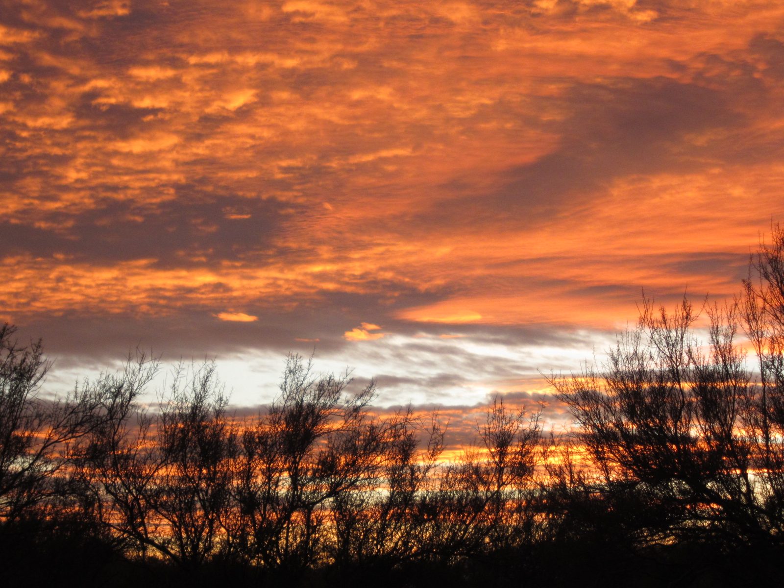 More sunset/sunrise.
