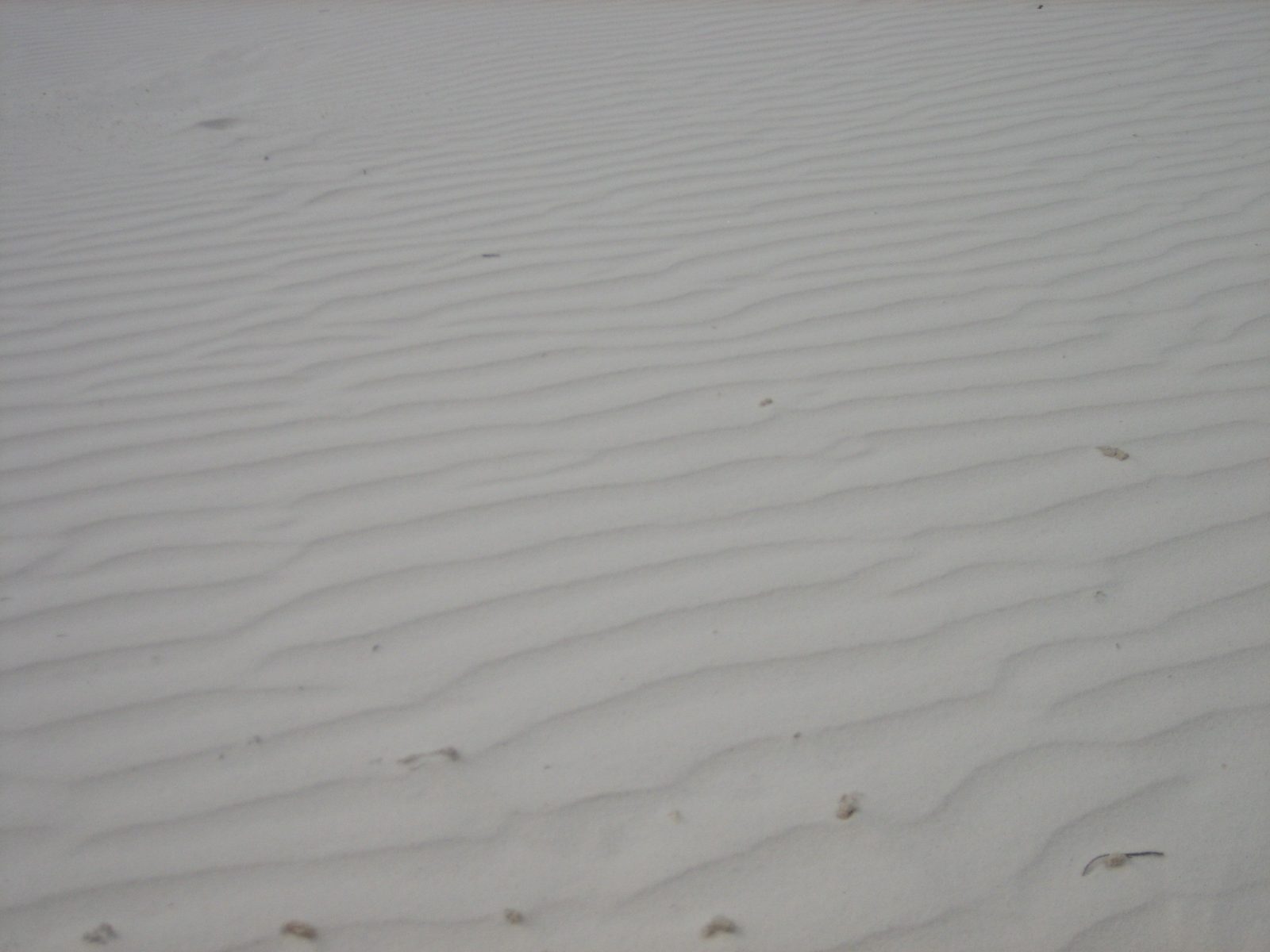 Waves in the sand.