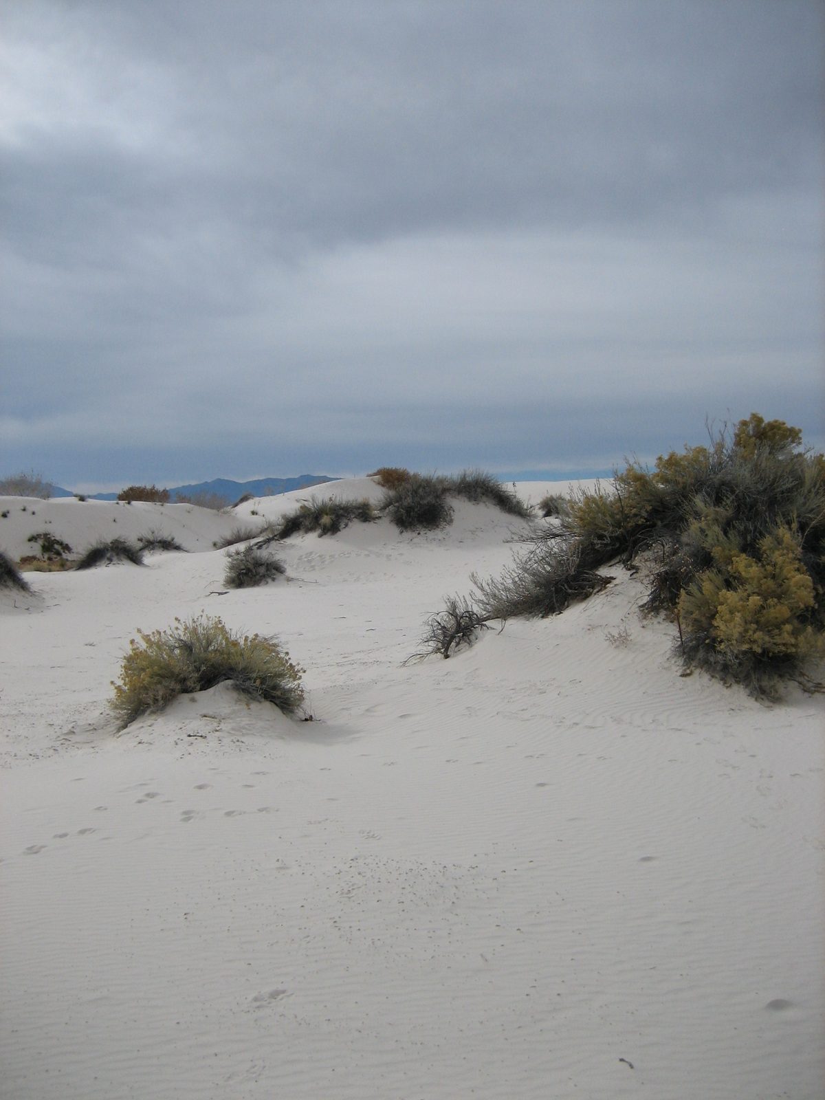 I guess the scenery starts to get repetitive in pictures, but it really was pretty.