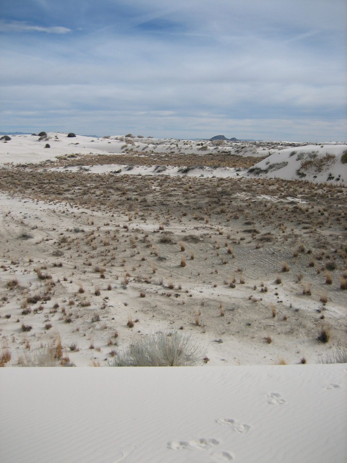 Looking away from the dunes into the ... inter-dunal space?  Something like that.