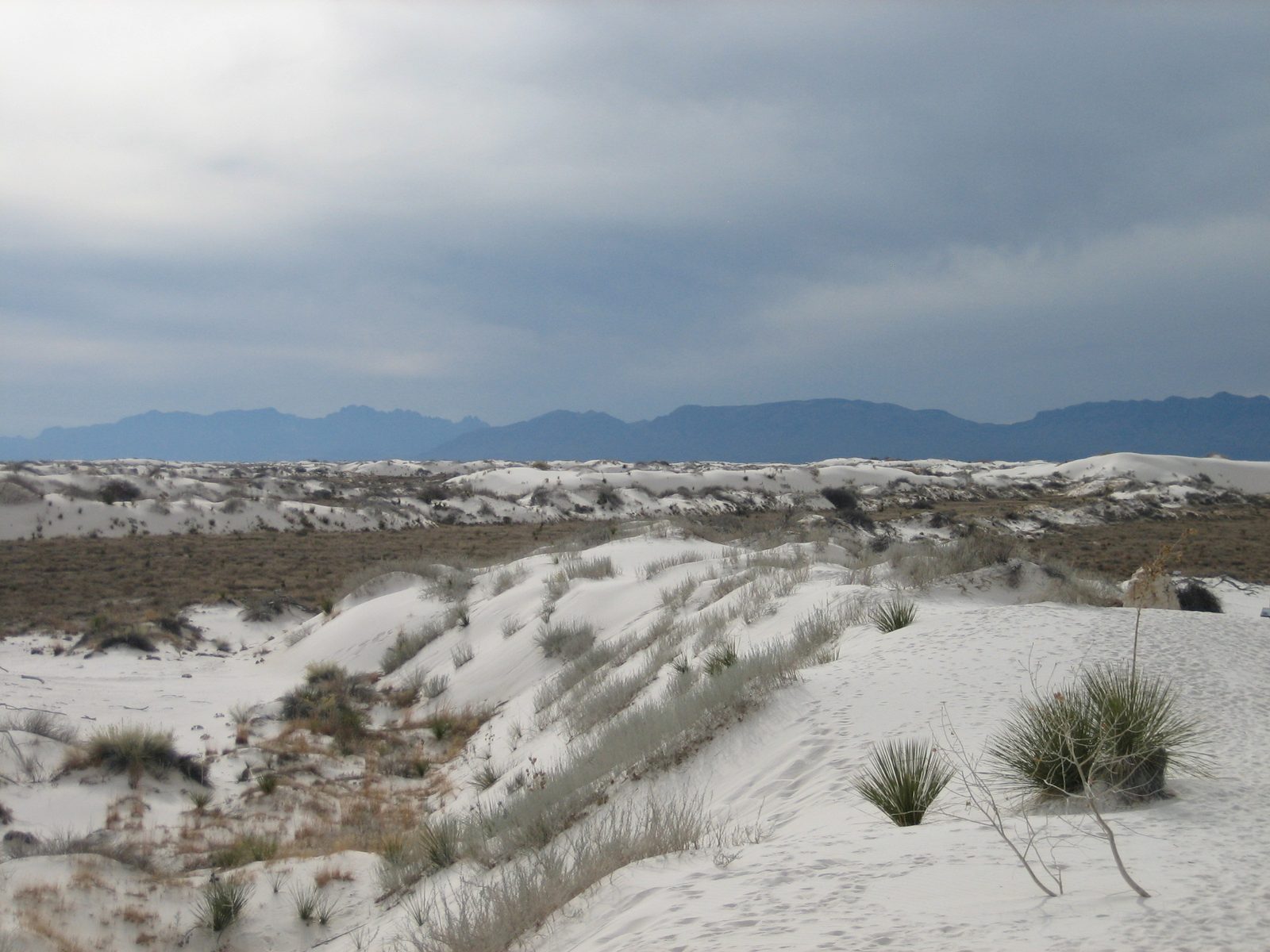 Off in the distance, a storm was brewing.  Fortunately, we never had to drive through it.