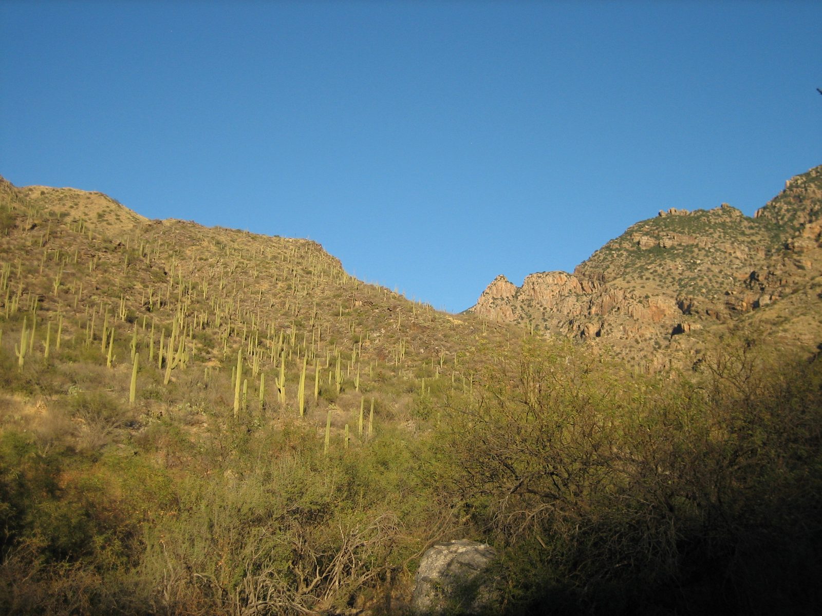 Looking up into Pima Canyon.  The trail wound from the west side of the valley, down across the...