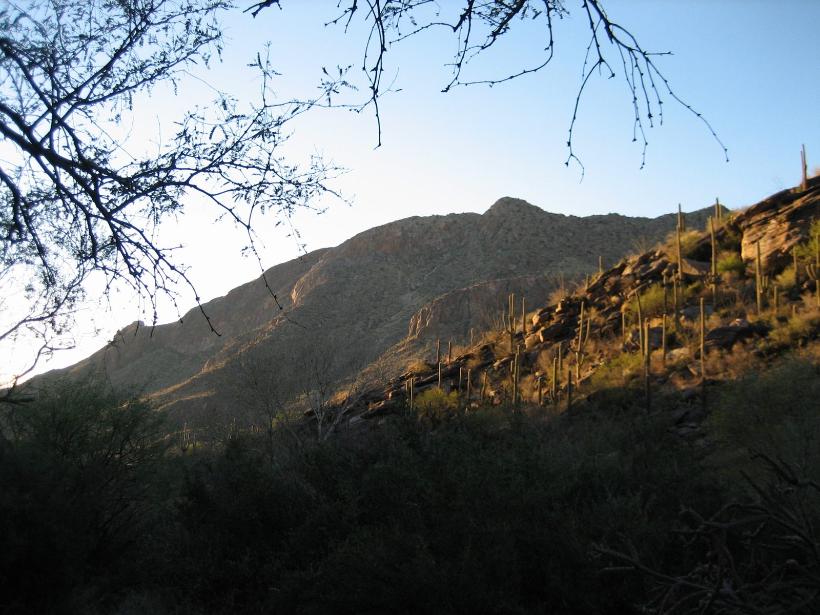 Looking back down canyon; I think this is where we turned around.