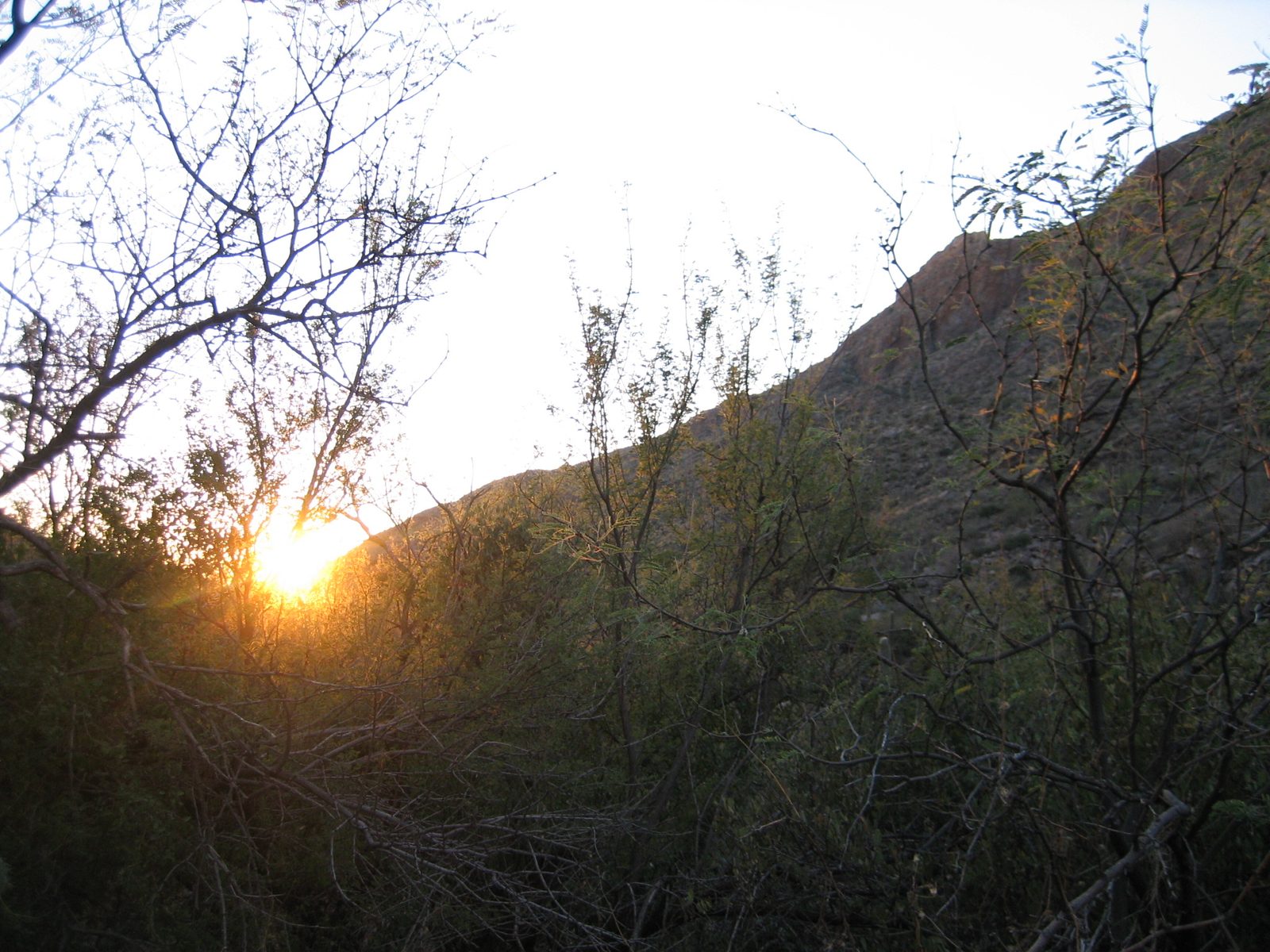 Due to our late start, we began racing the sun back to the car.  While we were on a well-worn...