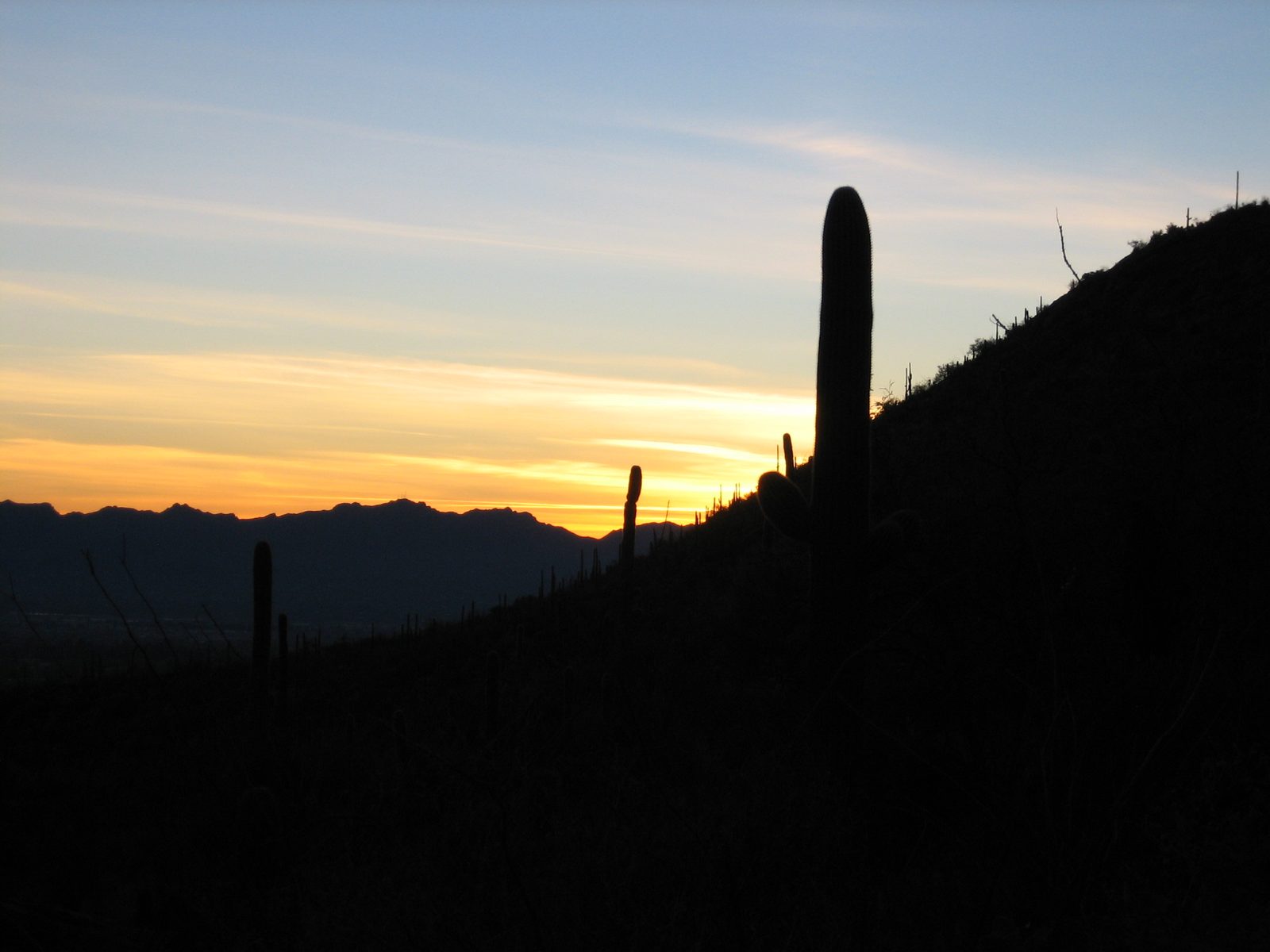 Sunset over the west side of Pima Canyon.