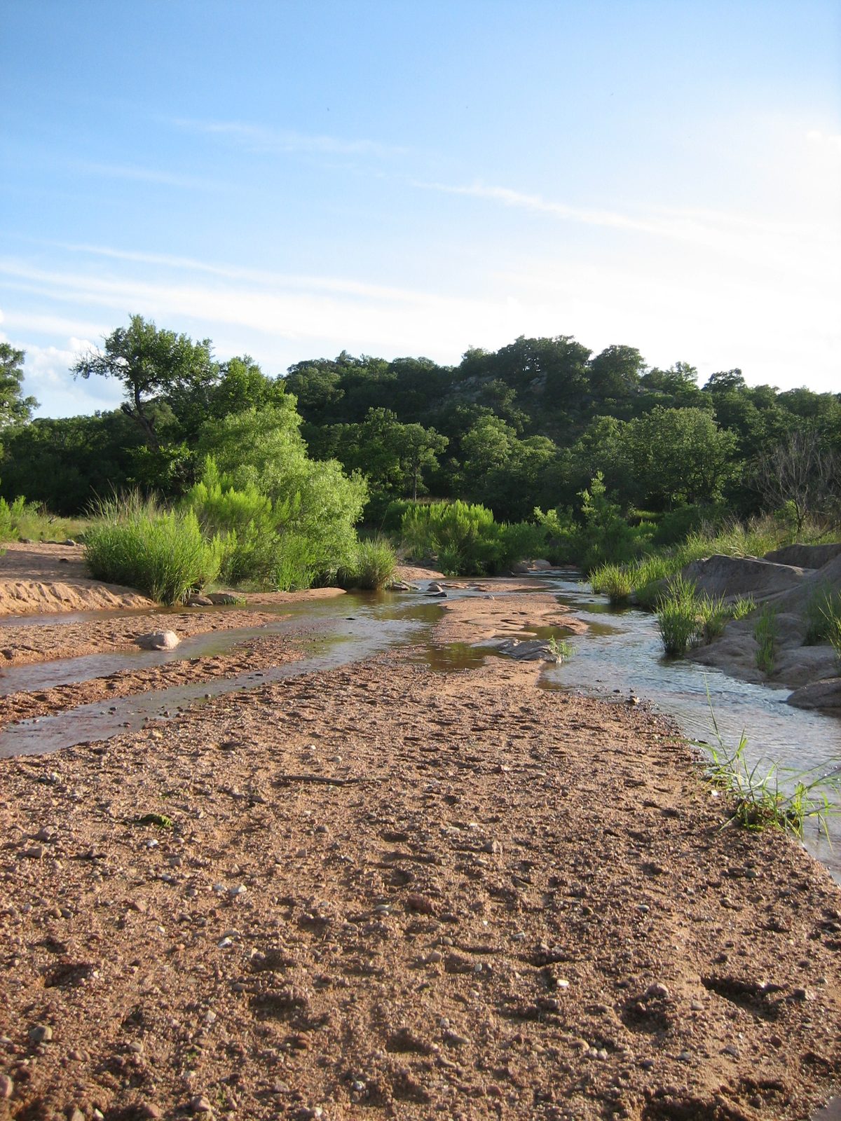 Looking up the creek.