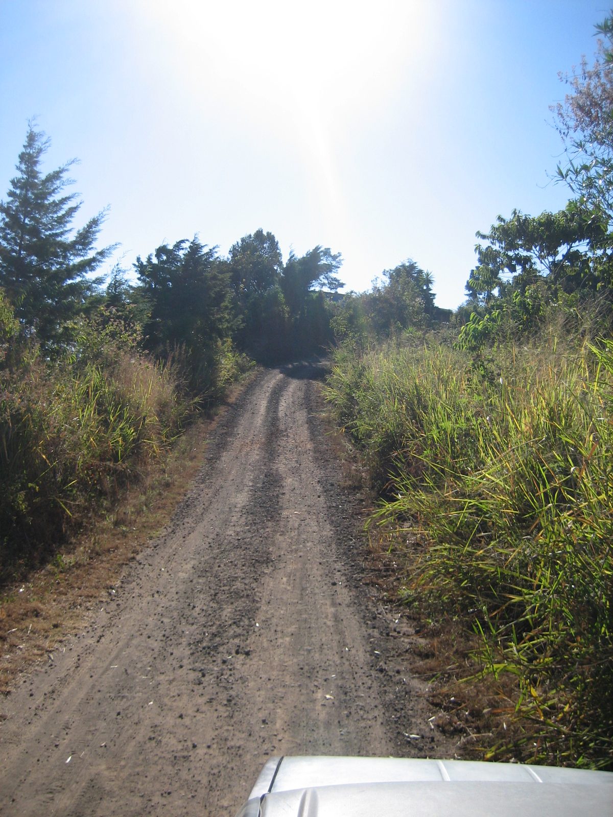 One of the nicer parts of the road into the Parque
