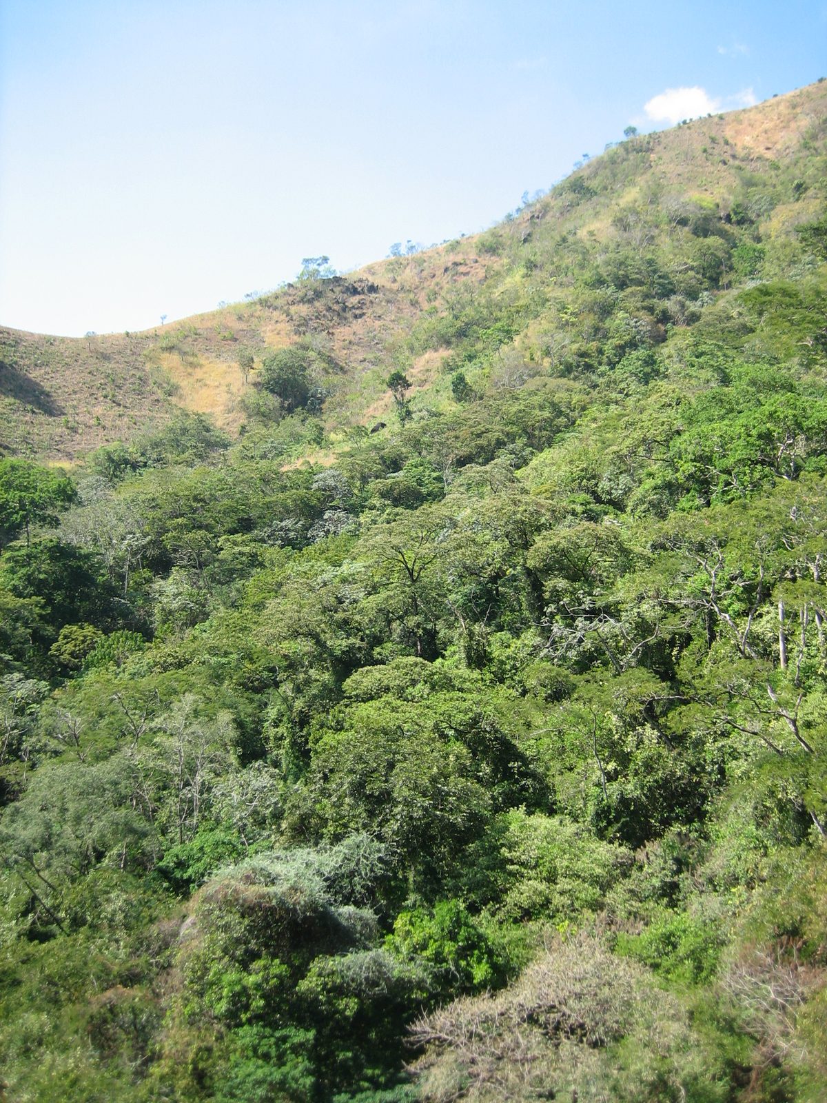 Looking out to the hillside across from the 70m waterfall at the end of the route (no, we did...