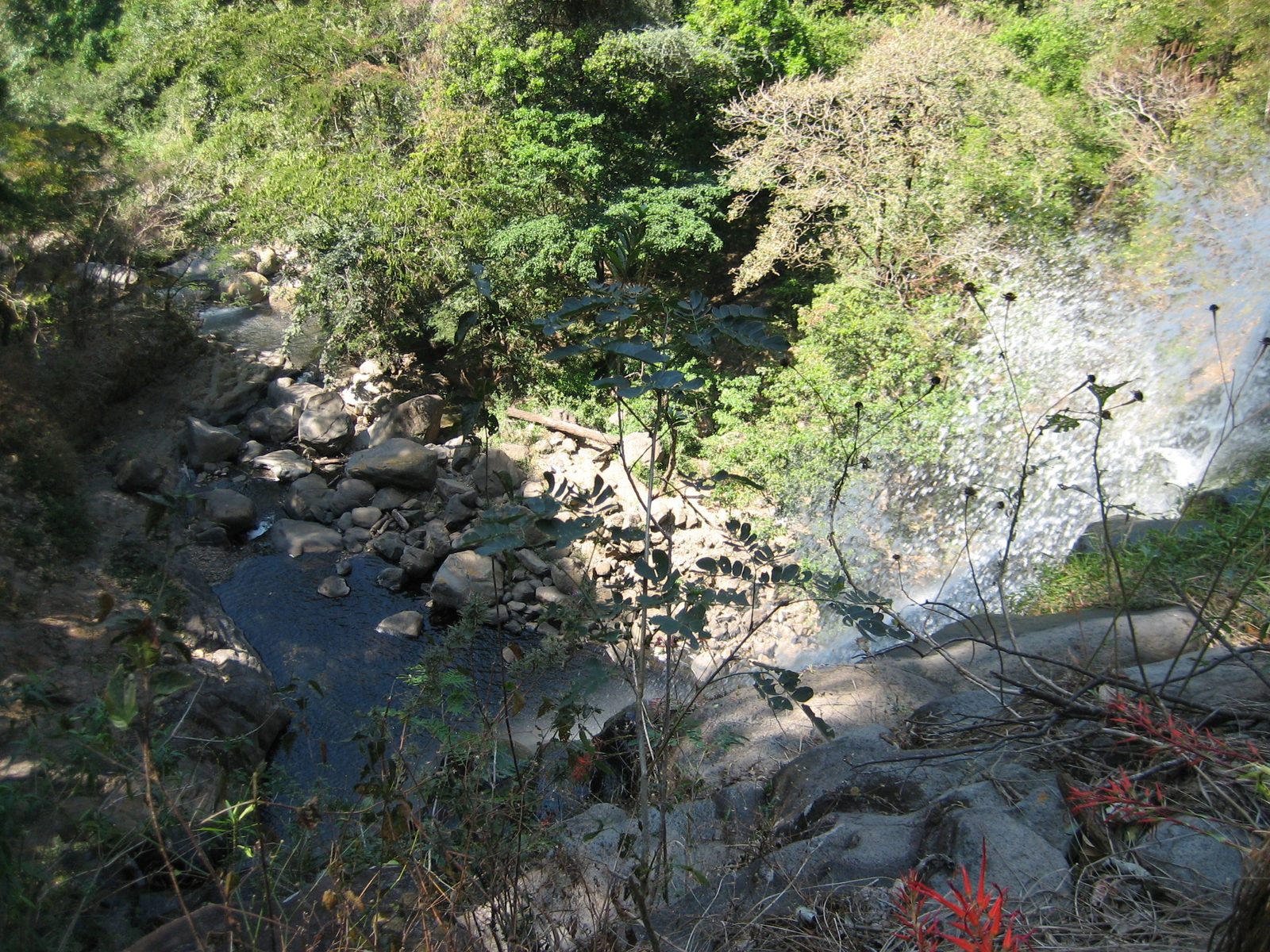 I'm not really sure this picture shows the height of these falls.  We're probably a few meters...