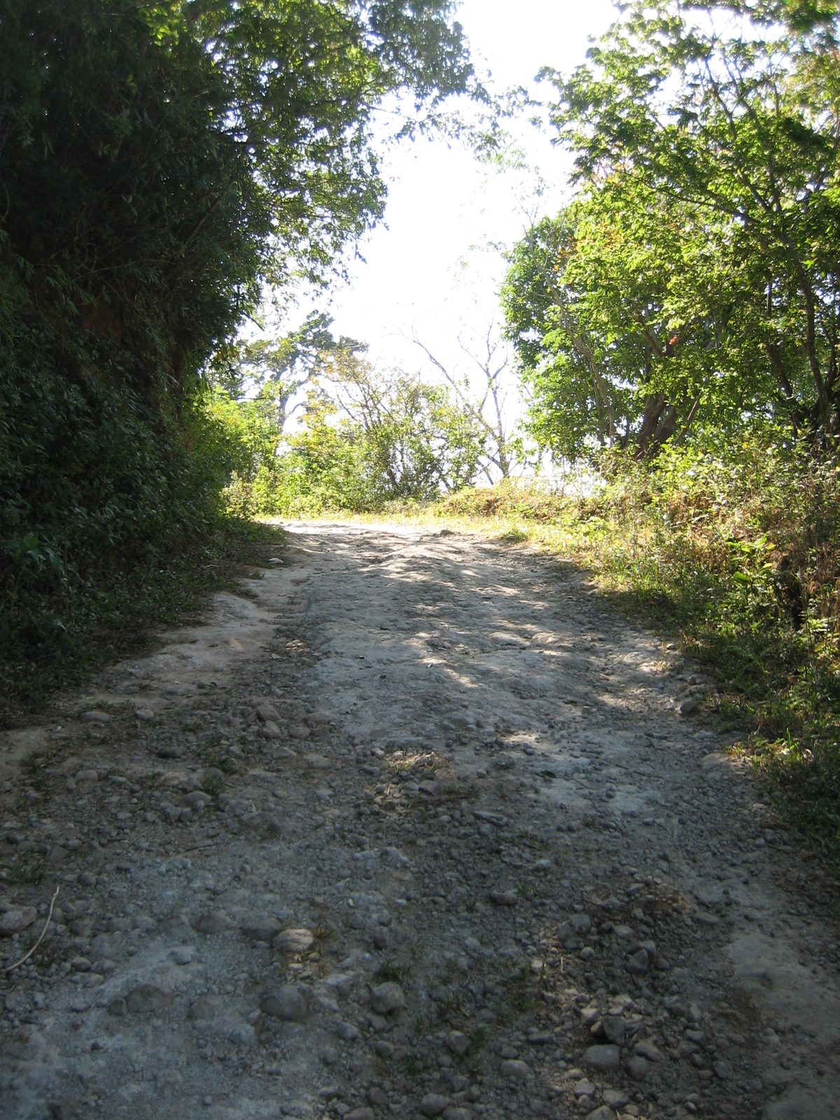The bad part about some canyons: after getting to the bottom, you must climb back to the top to...