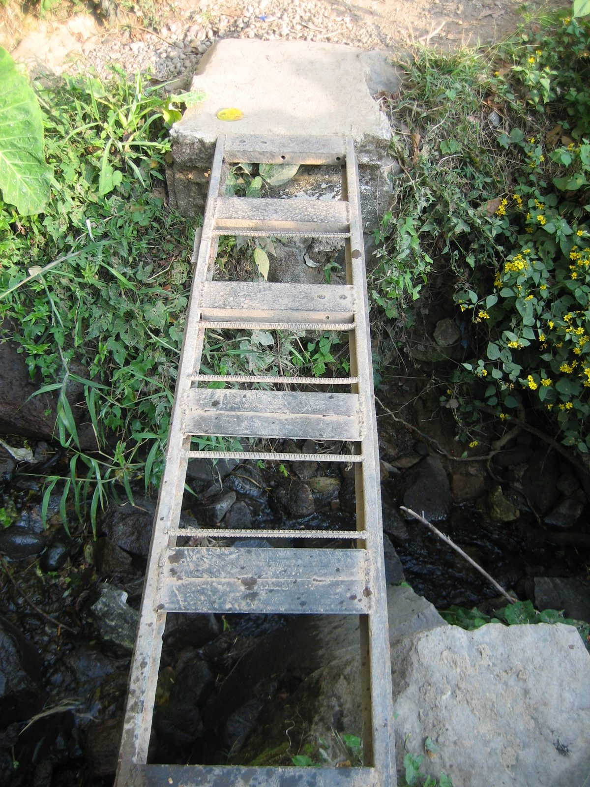 Another great bridge.