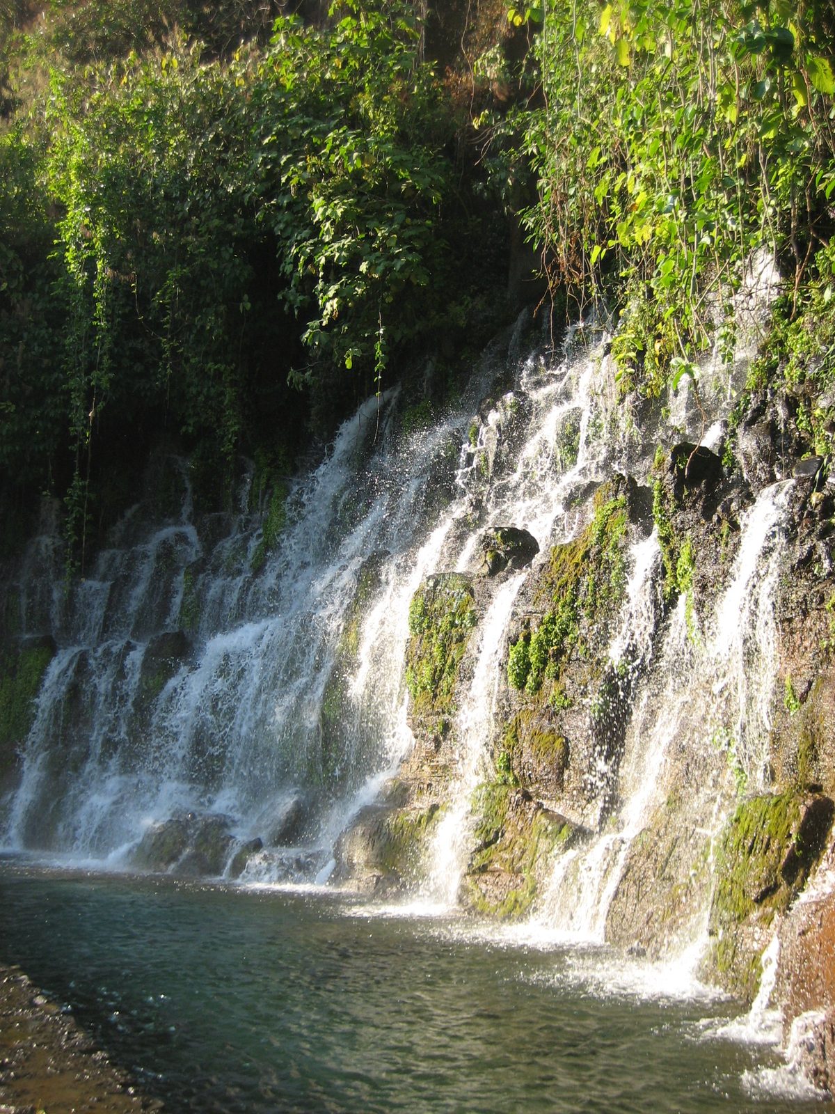 It would have been nice to come in bathing suits with the intention of swimming.  The water was...