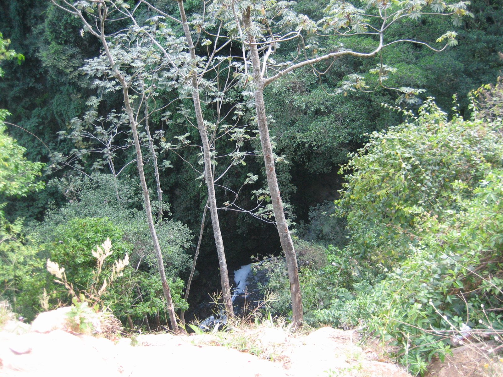 Looking over the cliff to the river far, far below.