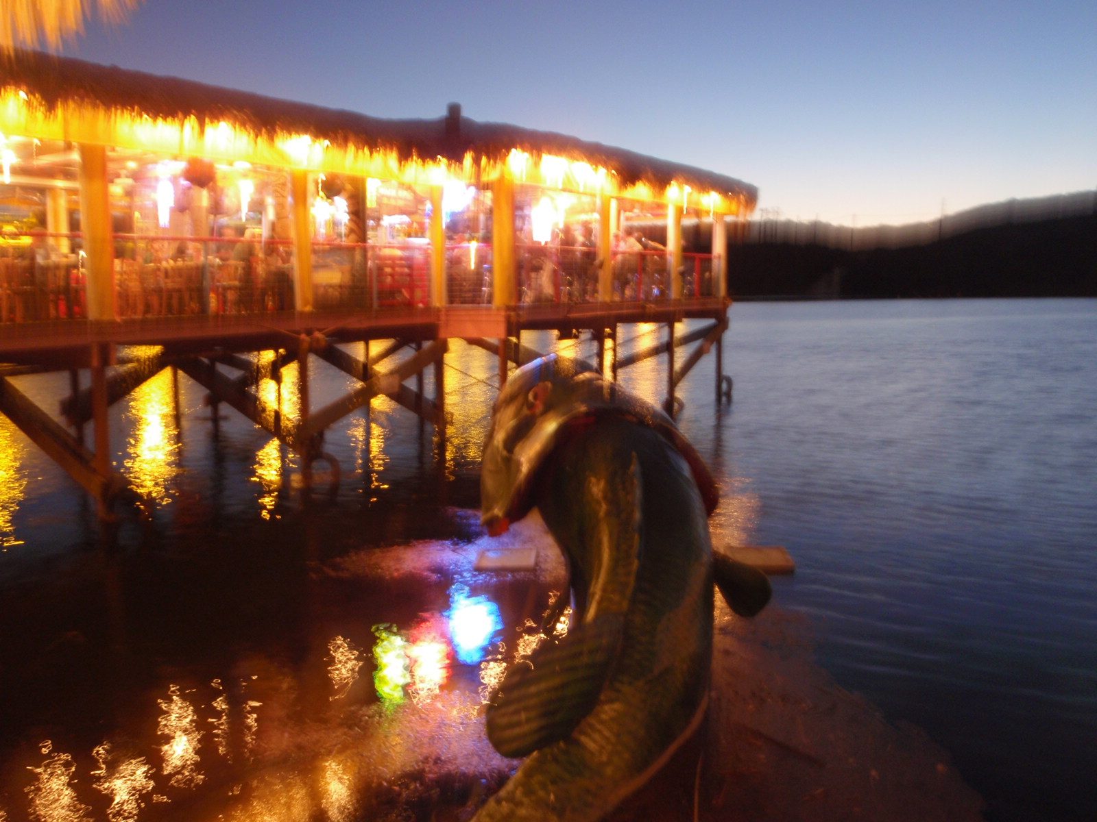 The giant fish float off the dock at Hula Hut in Austin.