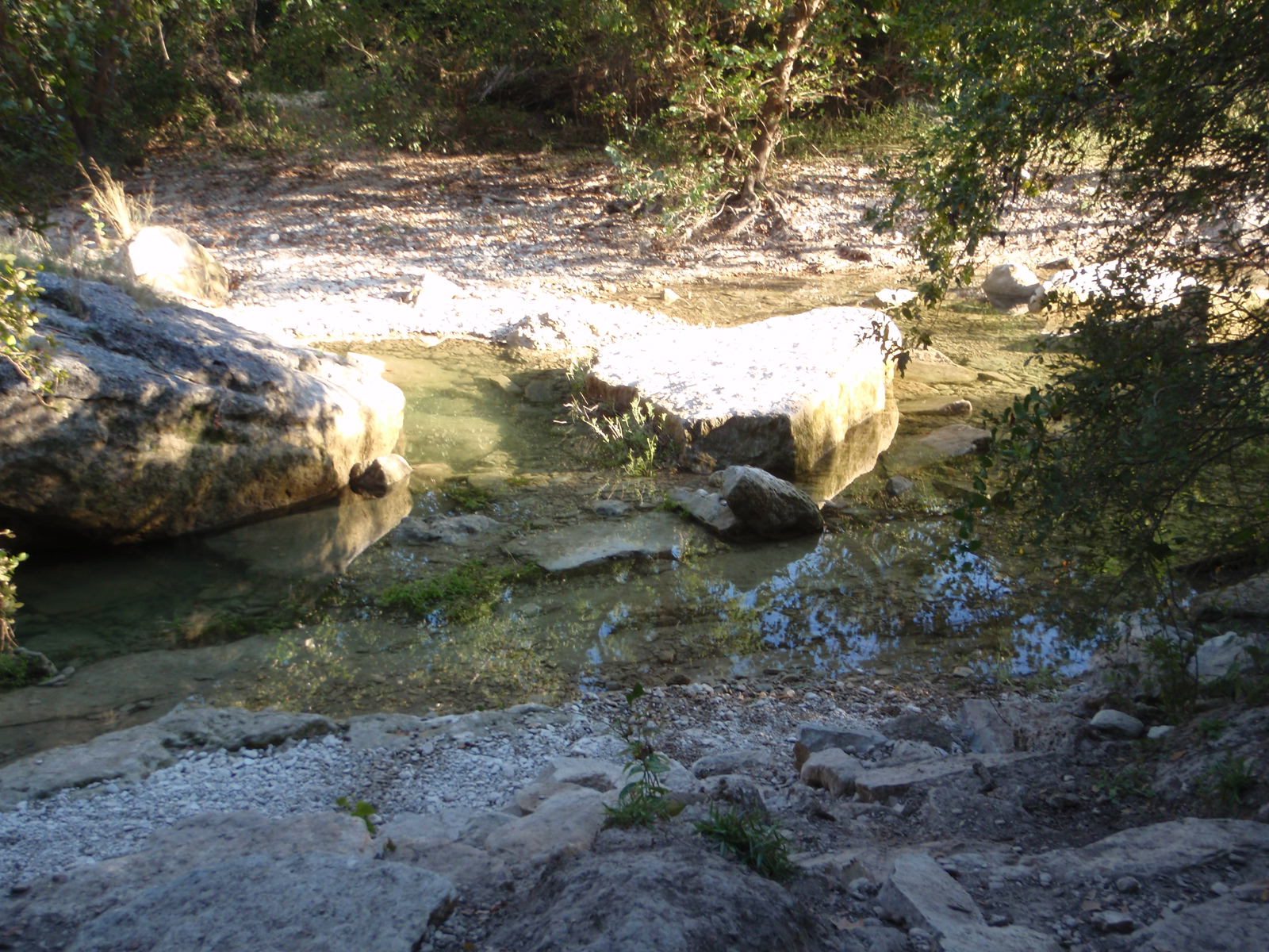 Looking at Barton Creek in the Greenbelt in Austin.  Just a month before, this was what it...