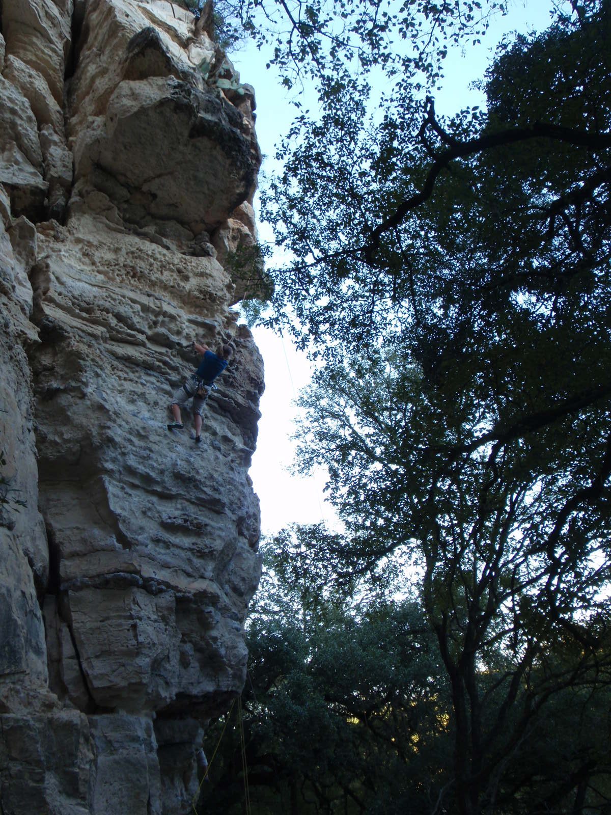 Either looking around, or falling.