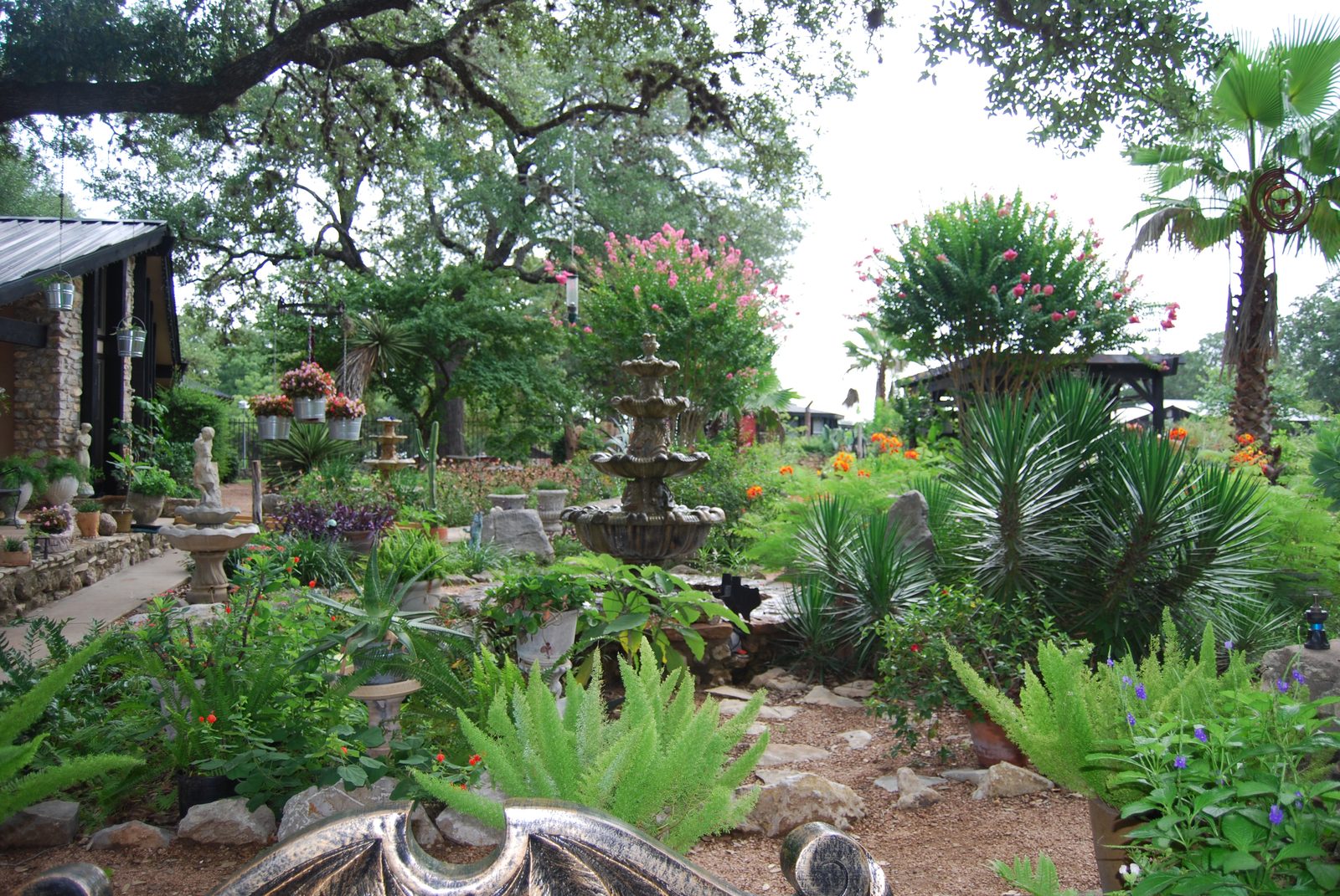 Saturday, I went with some coworkers to Krause Springs, near Spicewood, TX (60 min from Austin)....