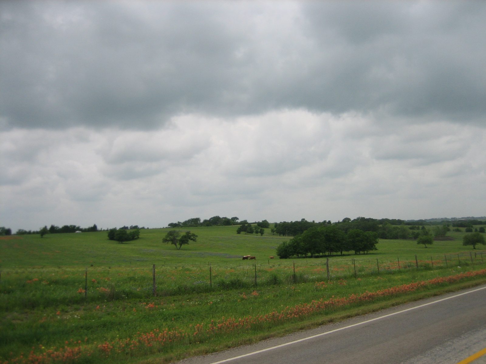 Cows, horses, or other such livestock.  It really was pretty scenery, with very little traffic.