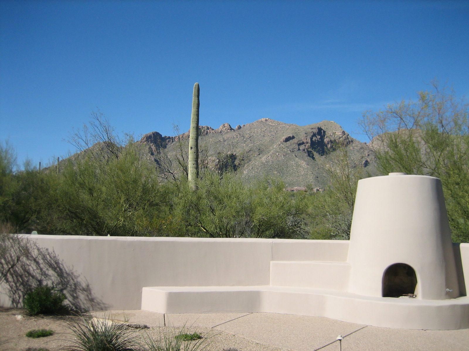 Back patio, with a big saguaro cactus visible and the mountains behind.