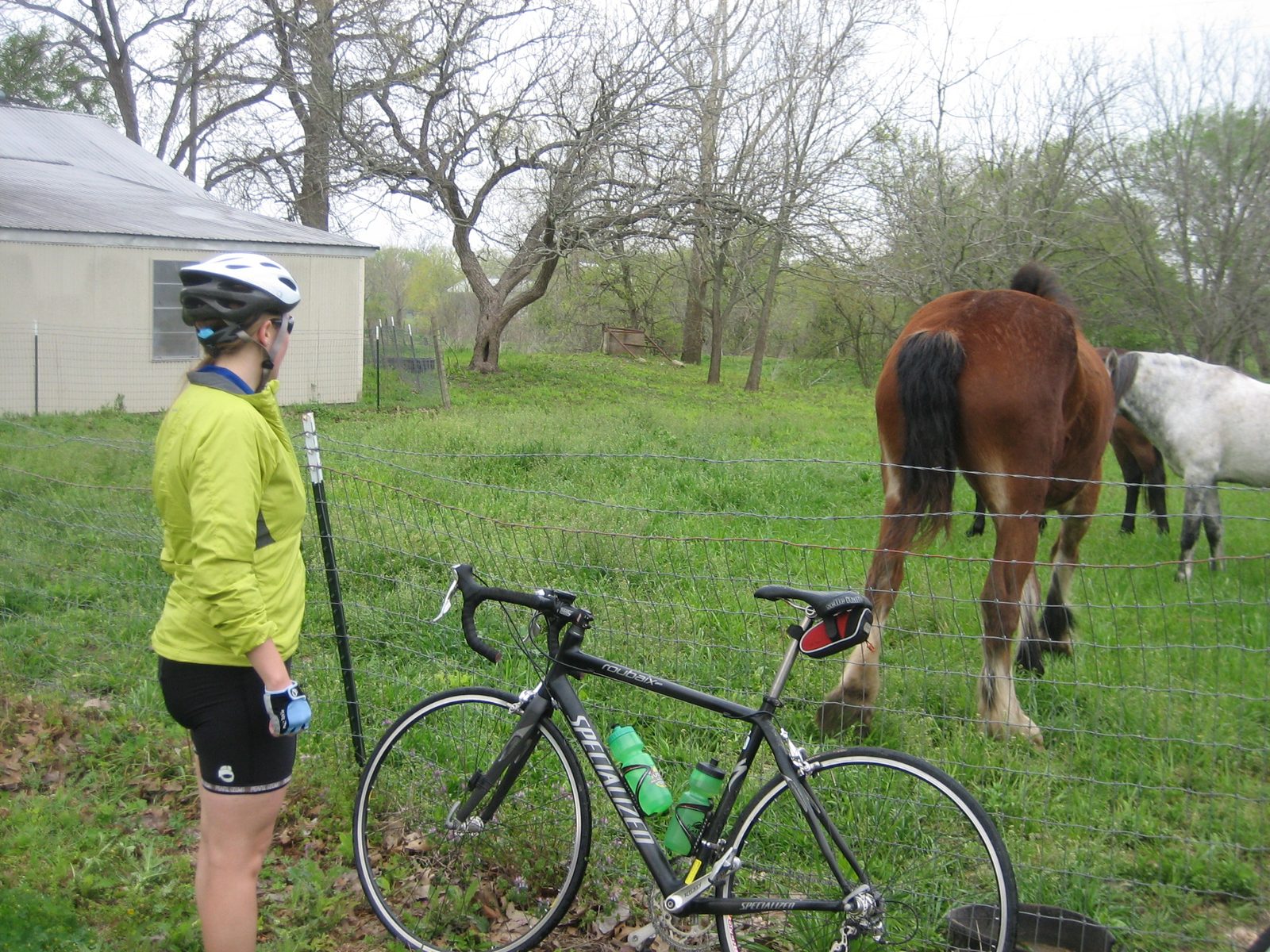 Catherine checks out some horses next to the first rest stop on the Rosedale Ride.