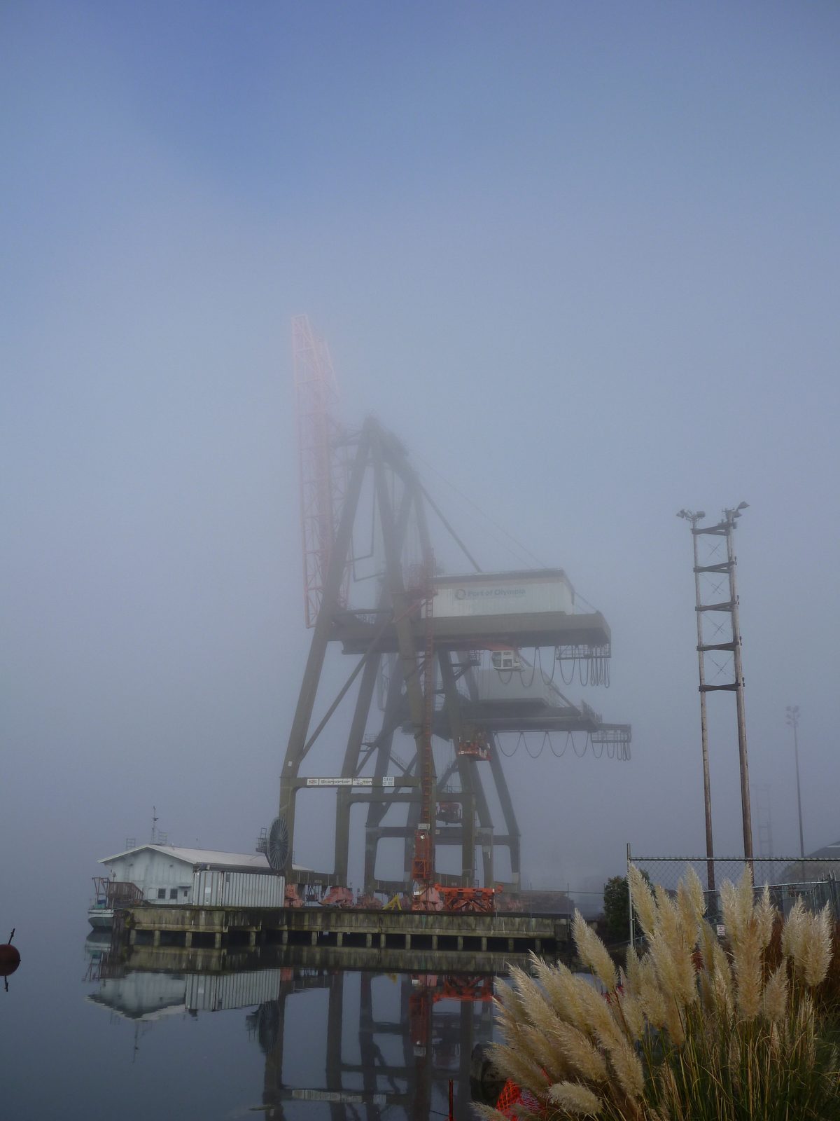 Even though Olympia is a pretty small town (42,000 people), it has an active shipping port. ...