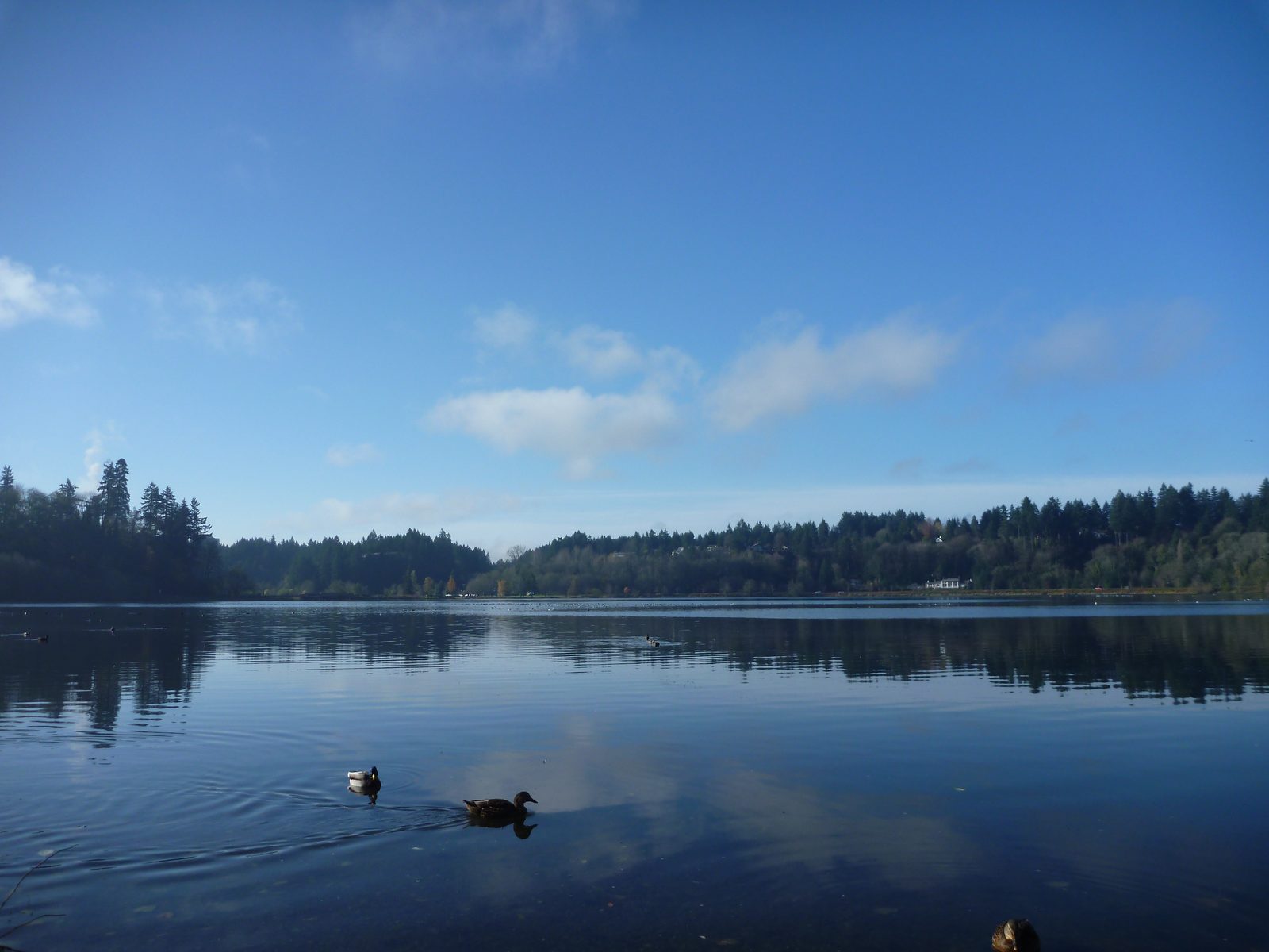Looking the other direction (90 degrees to the left) at Capitol Lake.