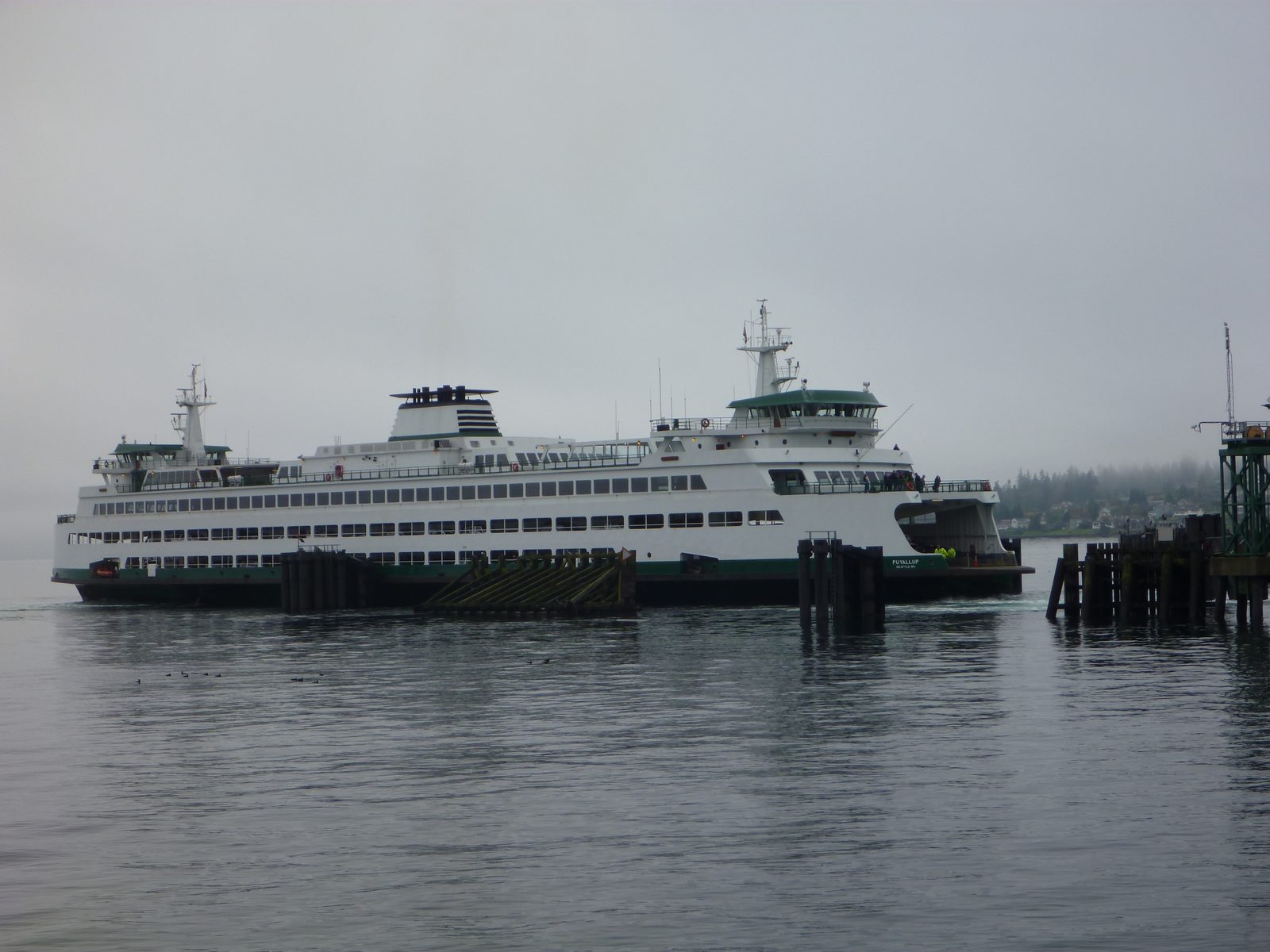 Our boat, the Puyallup, pulling into the dock to pick us up.