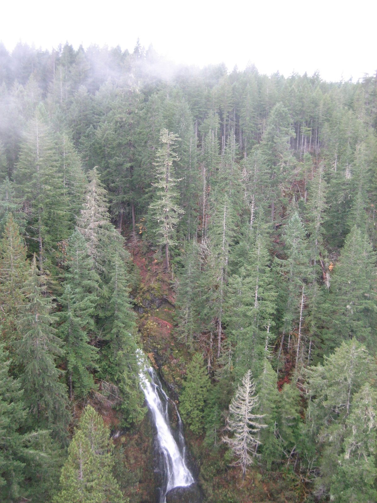 This picture is simply washed out a bit, but also is just showing the fog.