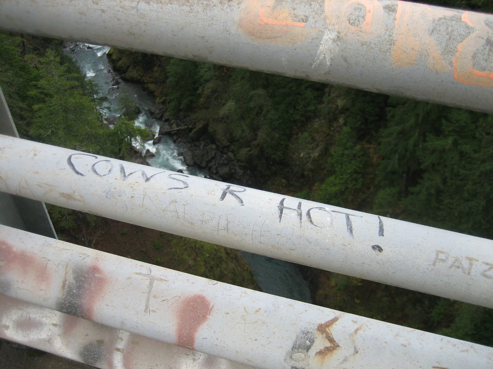 Bridges are also great places for graffiti.  Apparently the locals like the livestock...