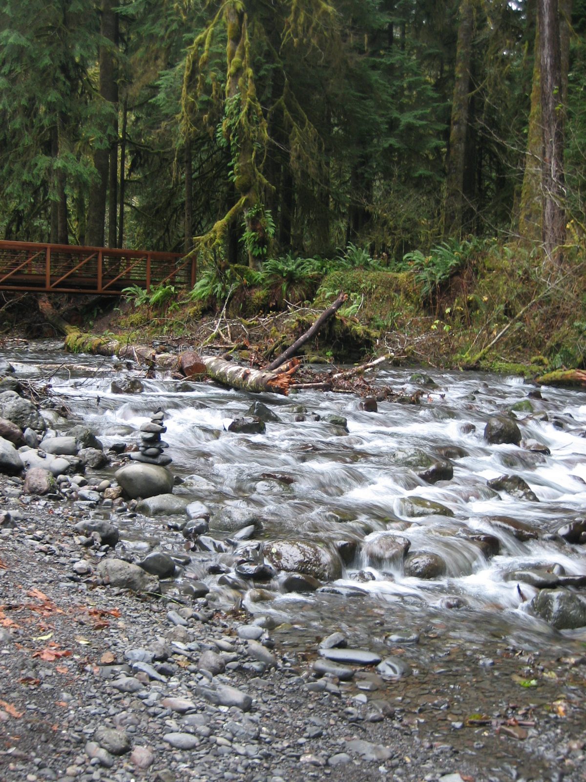 A fancy new bridge over the river... in the river was the log that used to be the bridge.