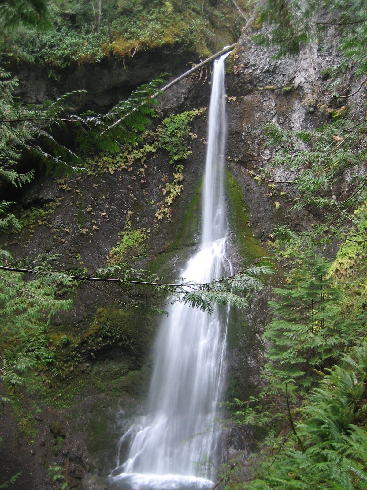 Trying to capture both halves of the falls and the pool at the bottom.  Total height = 90 ft.