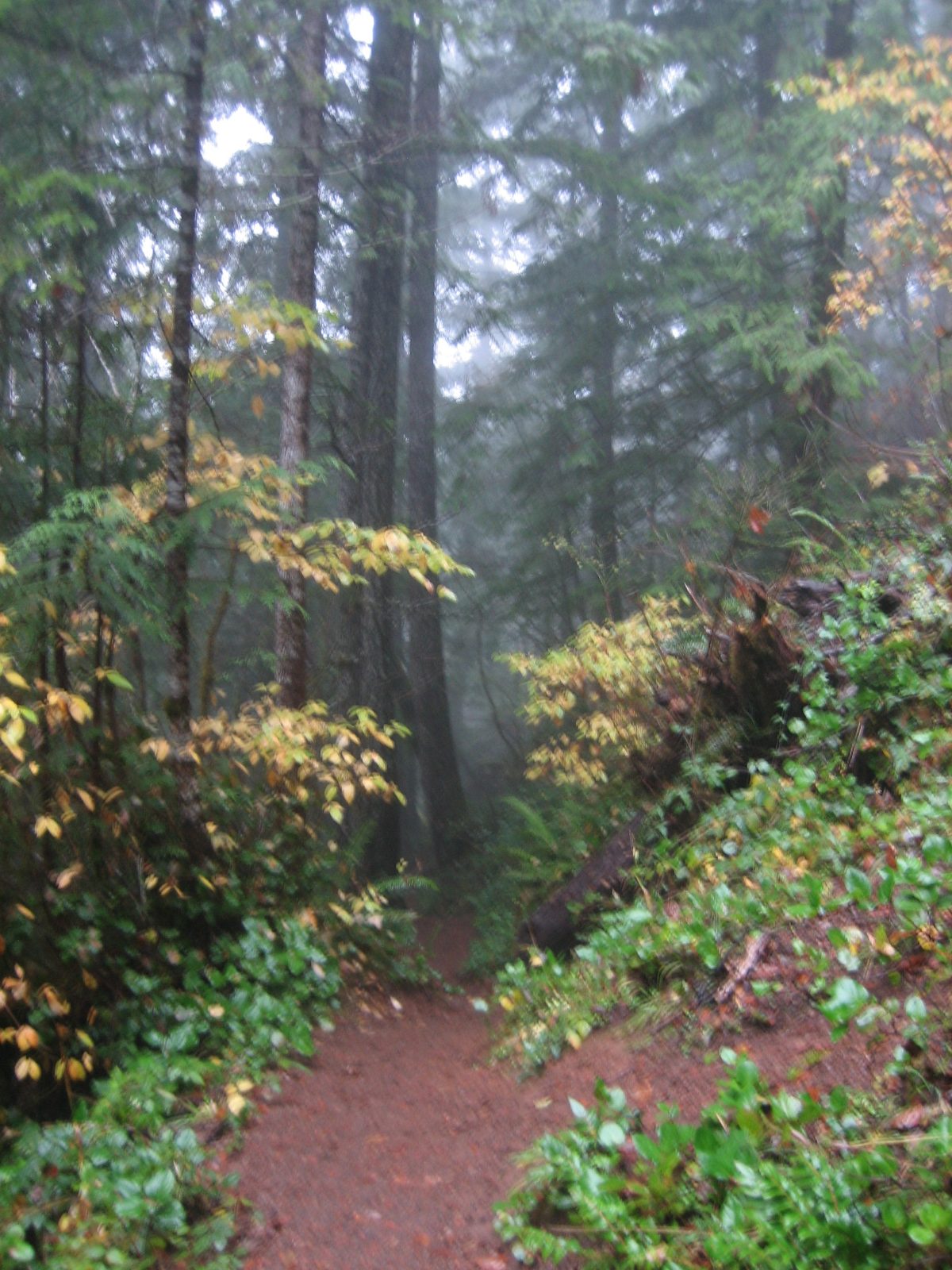 Jay and I started up the trail to the top of Storm King near Marymere Falls.  However, given the...