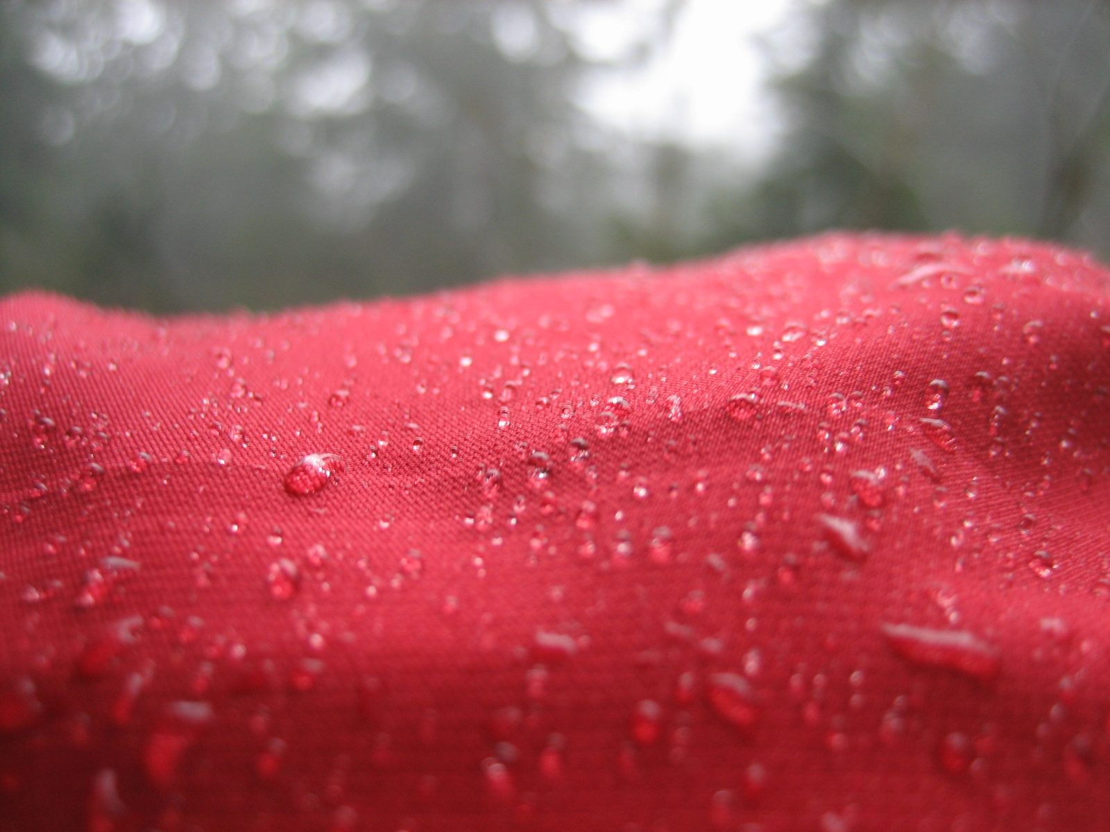 Water beading up on Jay's hood.  Note: it wasn't raining; the humidity was just probably 95%.