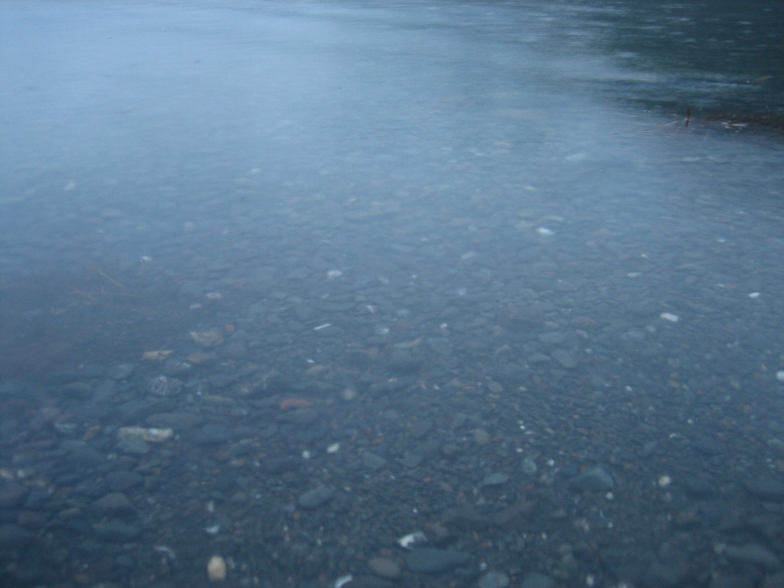 The official depth of Lake Crescent is 624 ft, though people claim it's up to 1000 ft.  The...