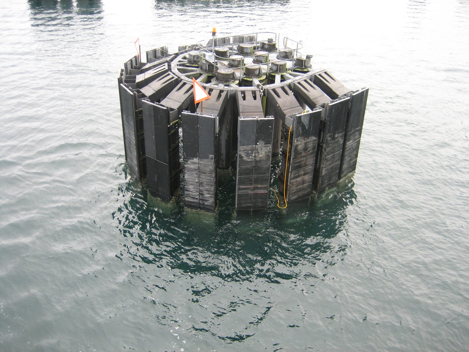 Look how clear the water is!  You can see multiple feet down on this ferry bumper.  Can you...