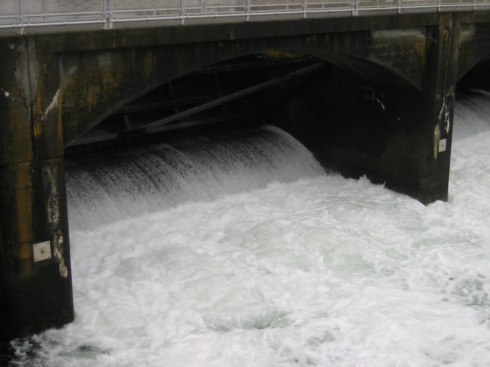 Scary scary amounts of water pouring through the spillway.  I think this was when Jay started...