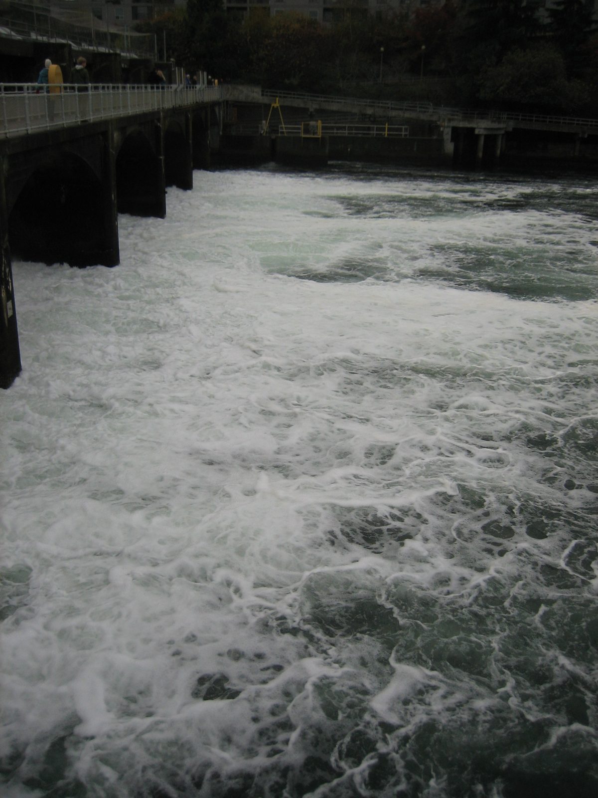 Water churning beyond the spillway.