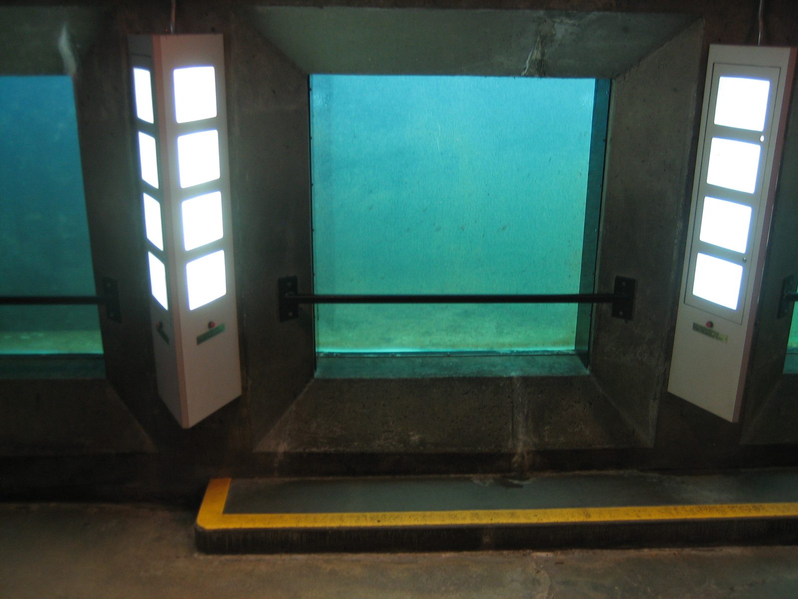 The viewing room for the fish ladder.  Theoretically, when the salmon are in...