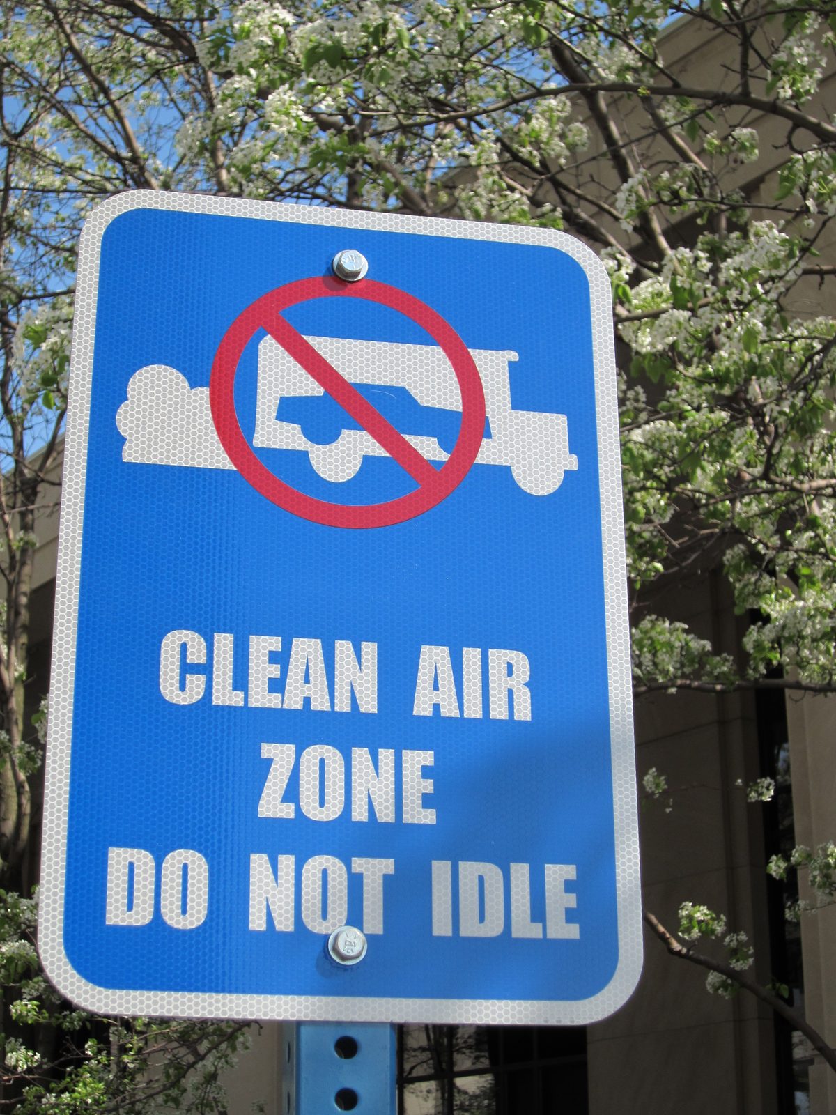 No cars inside trucks with bushes behind them.