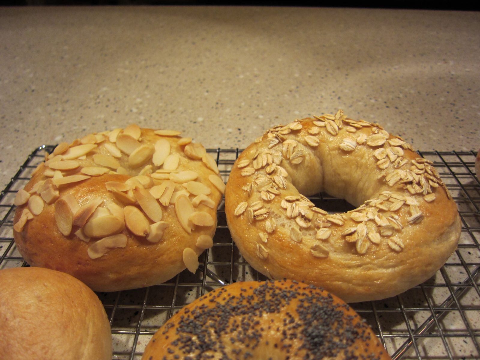 Almond and oat bagels.